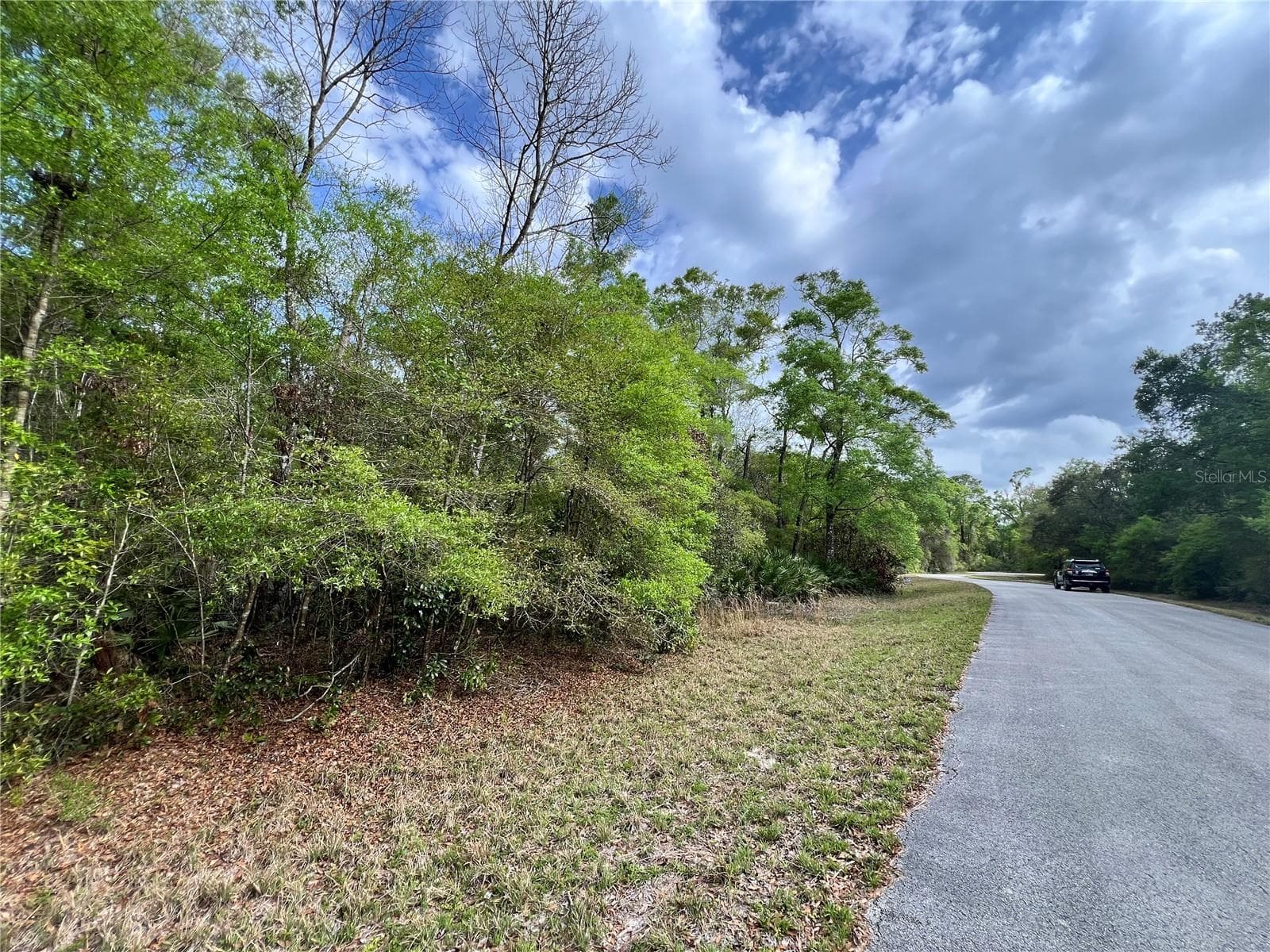 Land at NW 74TH CT #111, CHIEFLAND, photo 13 of 14
