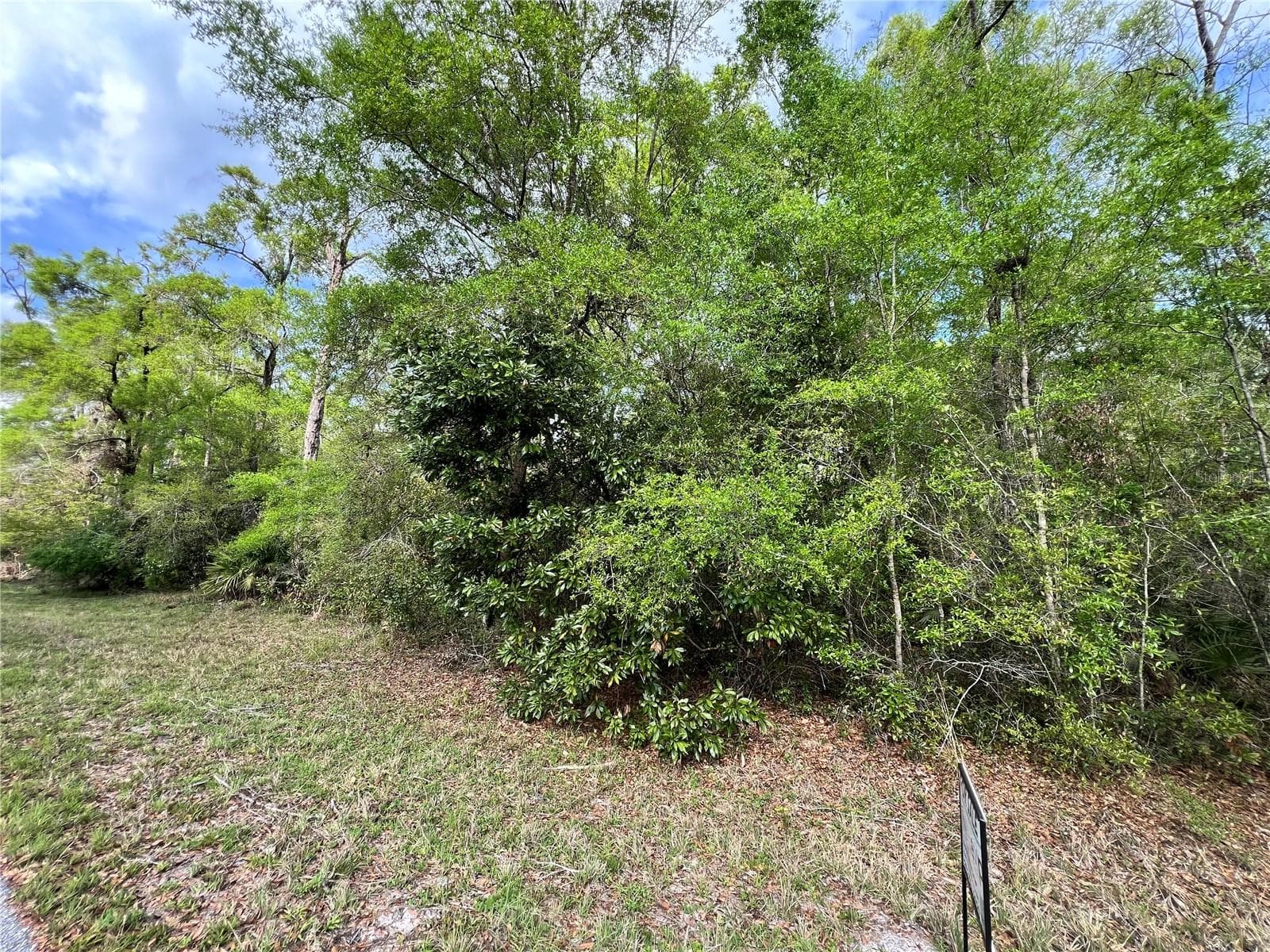 Land at NW 74TH CT #112, CHIEFLAND, photo 2 of 14