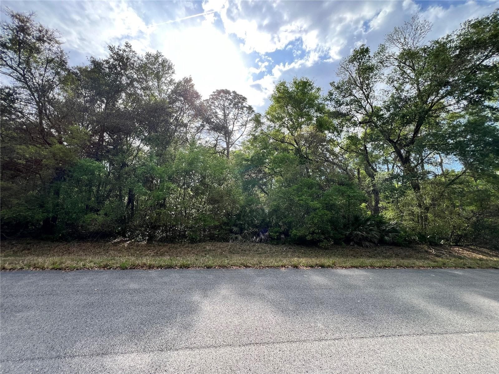 Land at NW 74TH CT #112, CHIEFLAND, photo 4 of 14