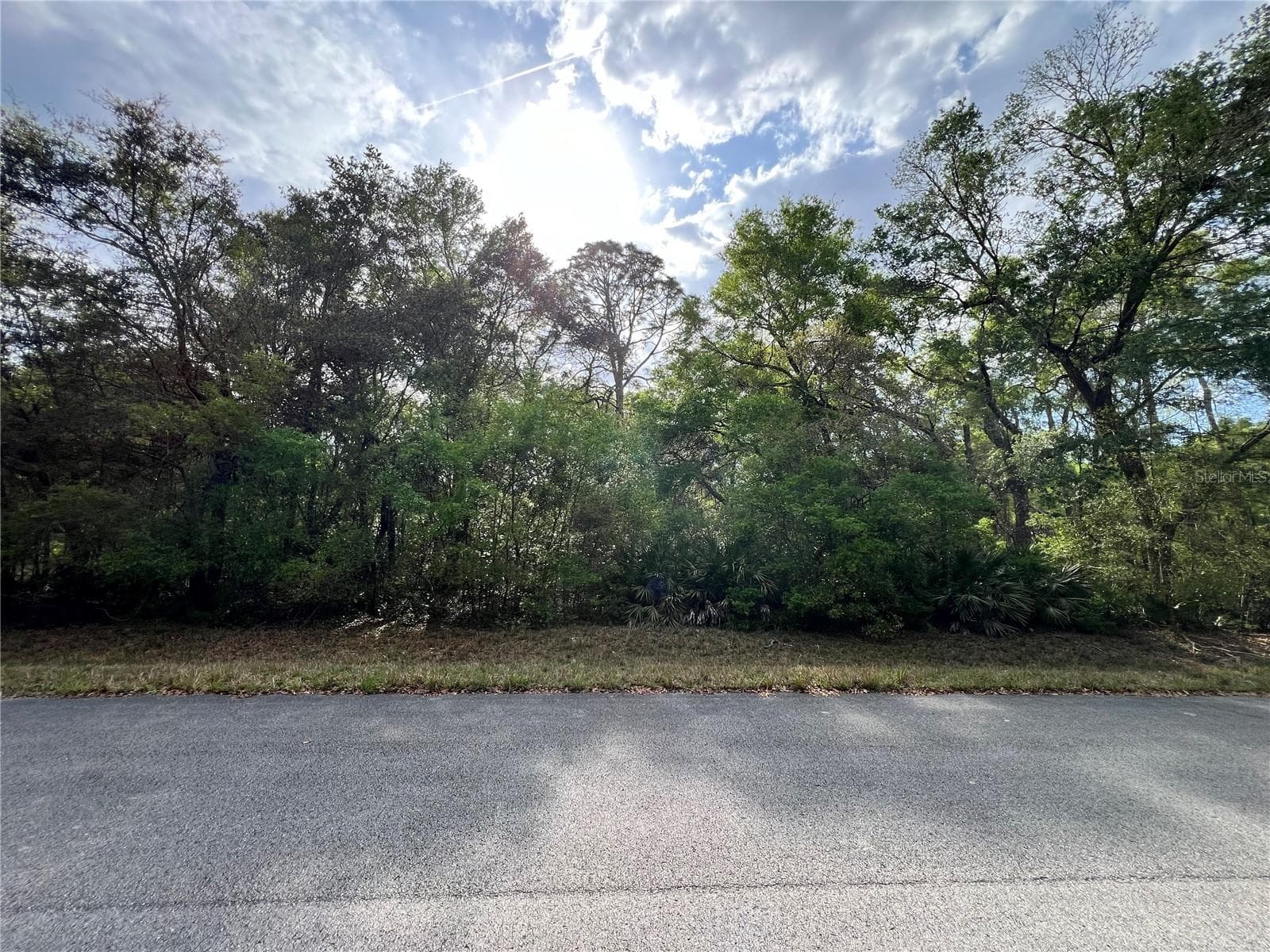 Land at NW 74TH CT #112, CHIEFLAND, photo 6 of 14