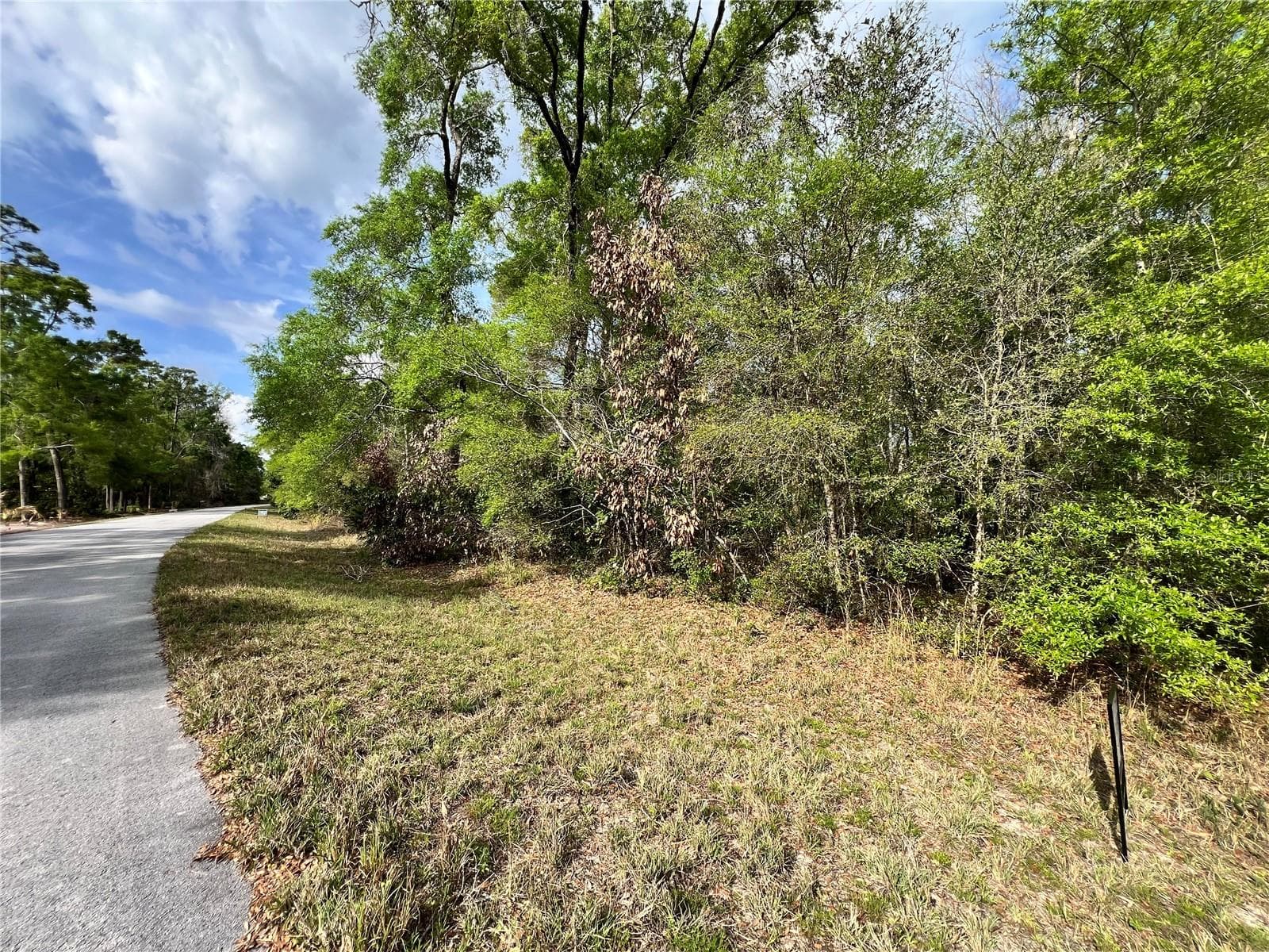 Land at NW 74TH CT #112, CHIEFLAND, photo 7 of 14