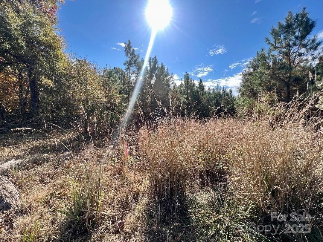 Acreage at Lancaster, photo 3 of 26