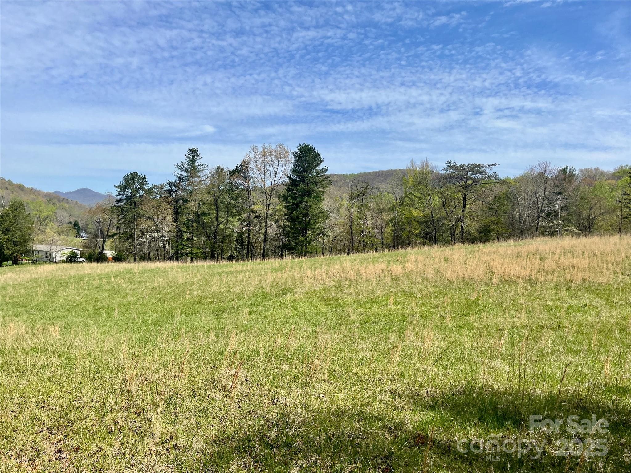 Acreage at 99999 Lollis Road, Candler, photo 2 of 18