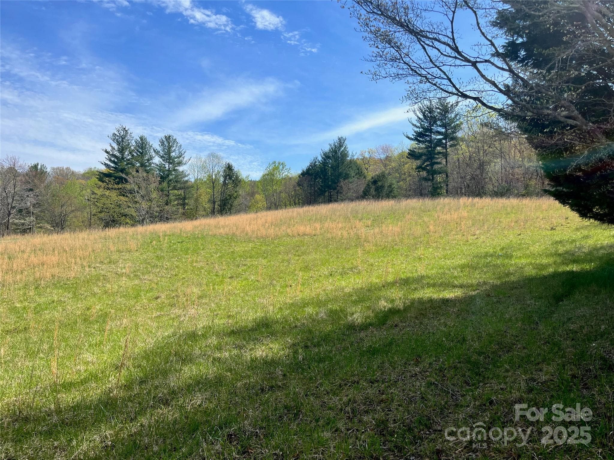 Acreage at 99999 Lollis Road, Candler, photo 3 of 18