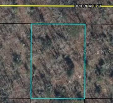 Land at Lot 3 BRIERDALE ST, CHIPLEY, photo 2 of 3