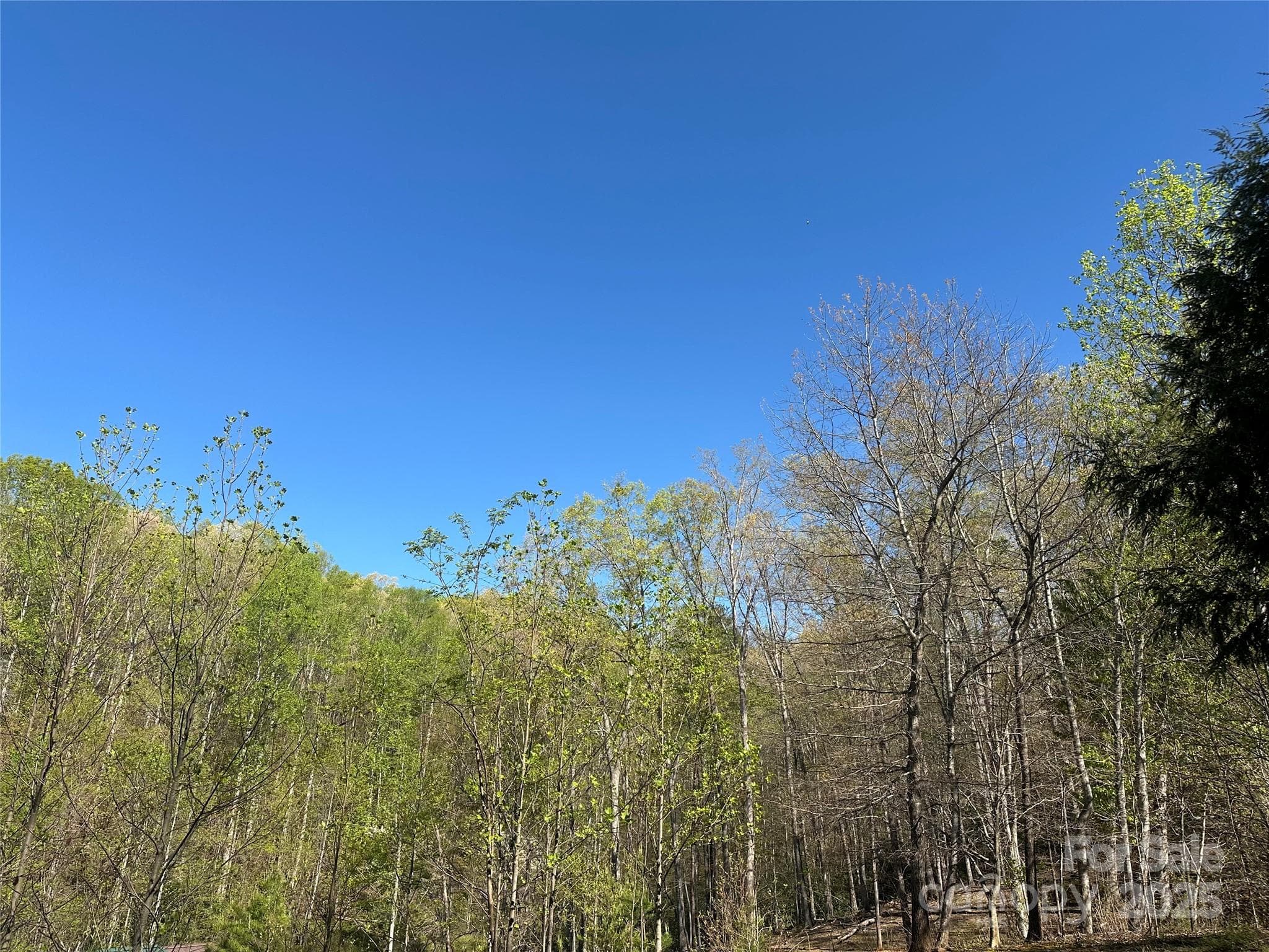 Acreage at Old Fort, photo 5 of 7