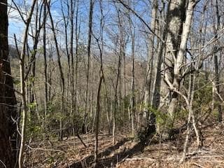Lot at Waynesville, photo 10 of 13