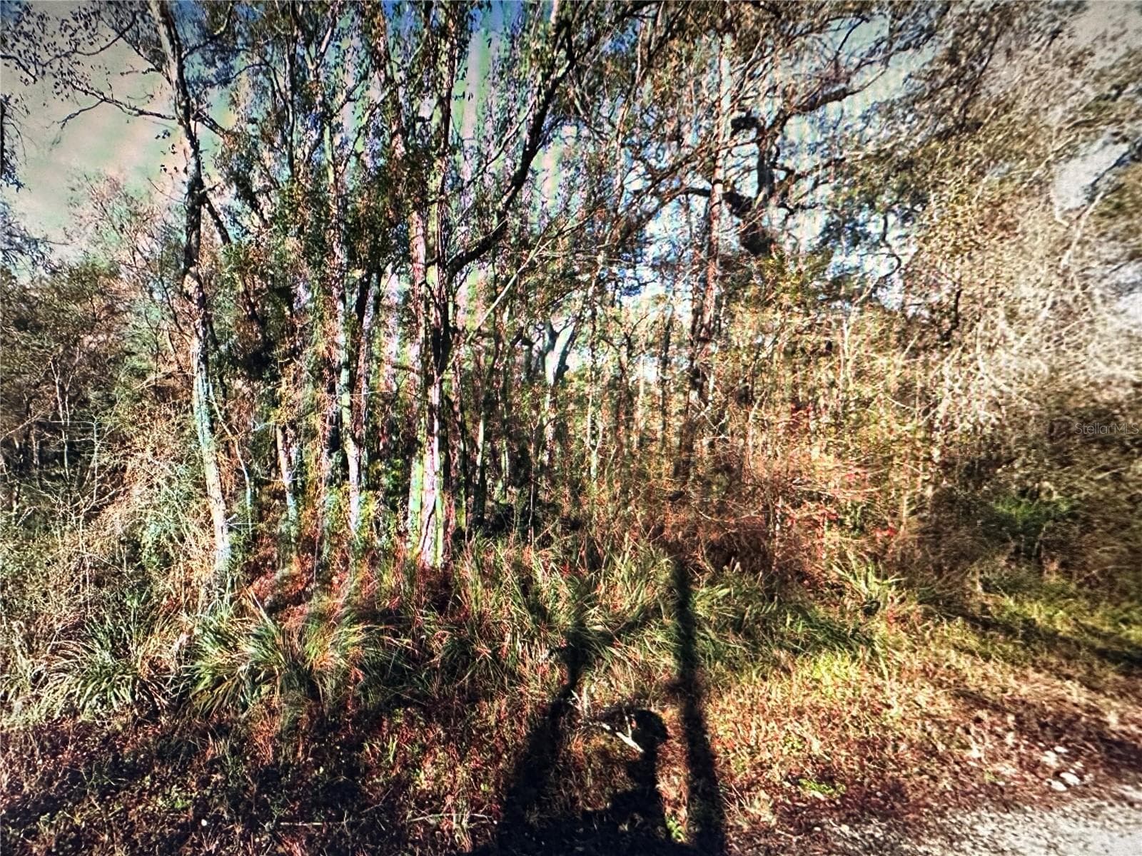 Land at TABLE ROCK DR, WEBSTER, photo 2 of 10