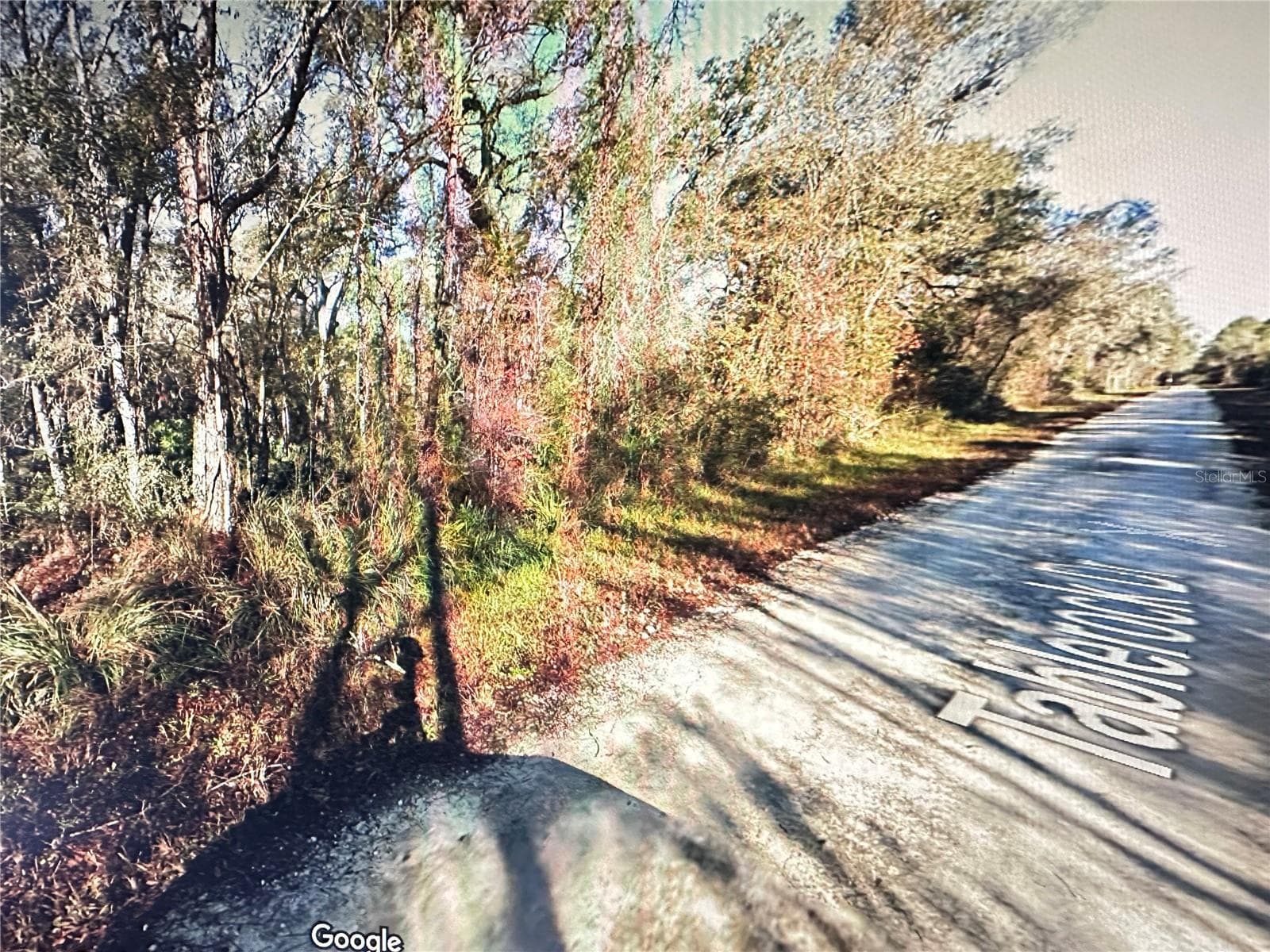 Land at TABLE ROCK DR, WEBSTER, photo 4 of 10