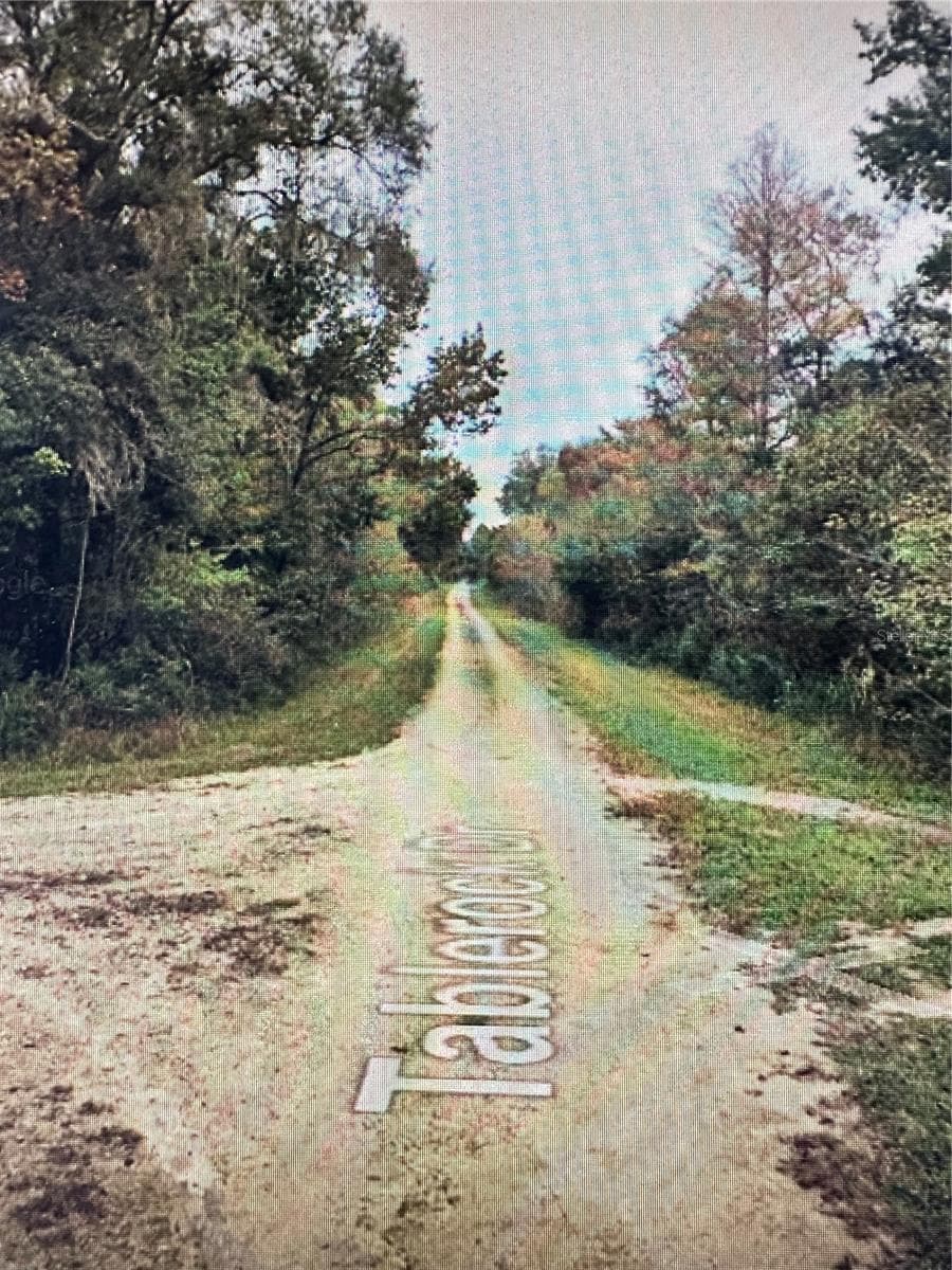 Land at TABLE ROCK DR, WEBSTER, photo 9 of 10