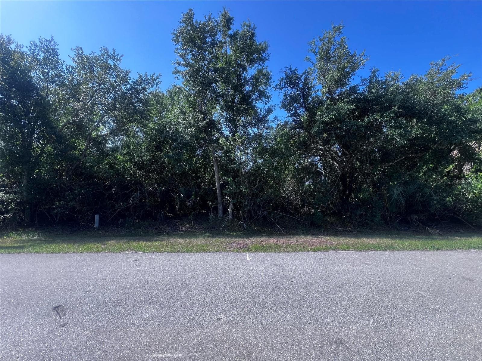 Land at 27195 ADAMS ST, PUNTA GORDA, photo 2 of 2