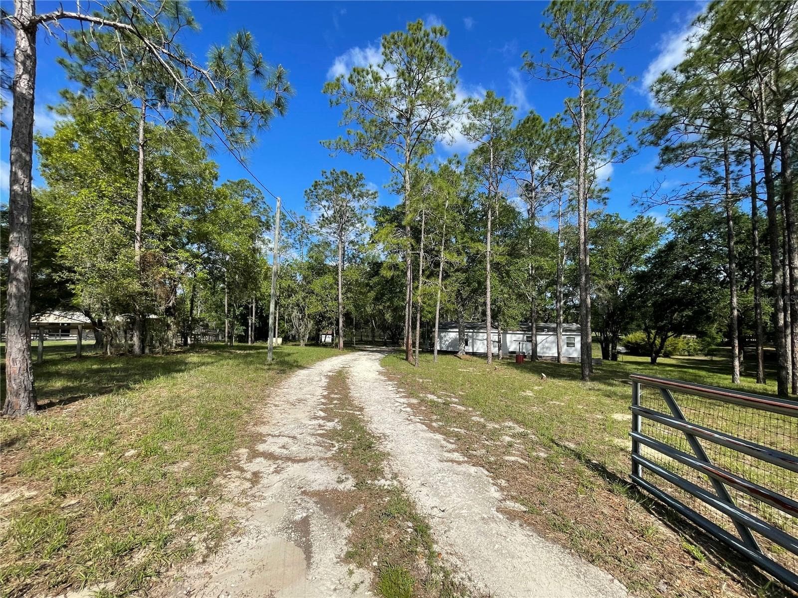 Driveway - 1550 SE 111TH CT, MORRISTON