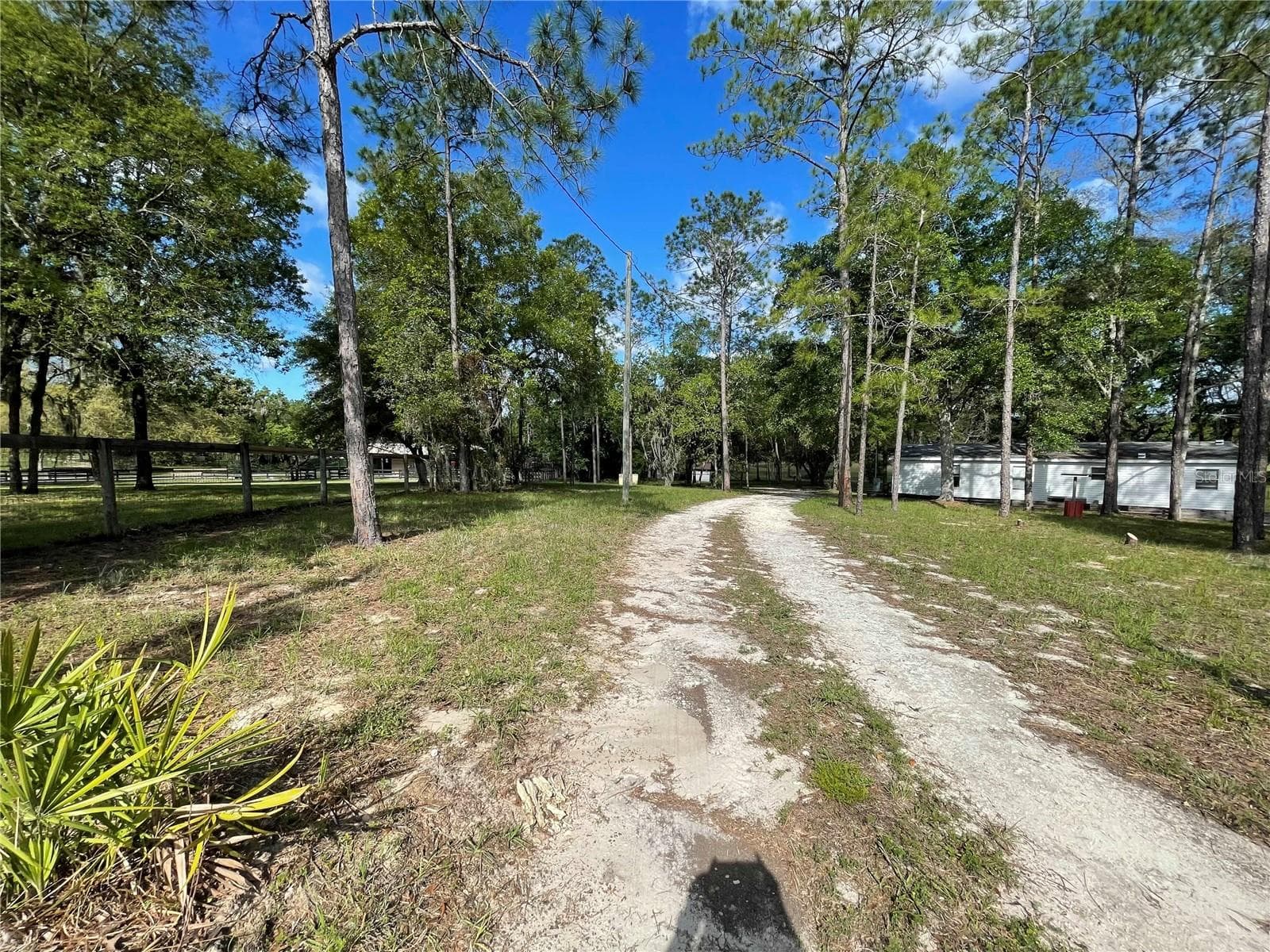 Driveway - 1550 SE 111TH CT, MORRISTON