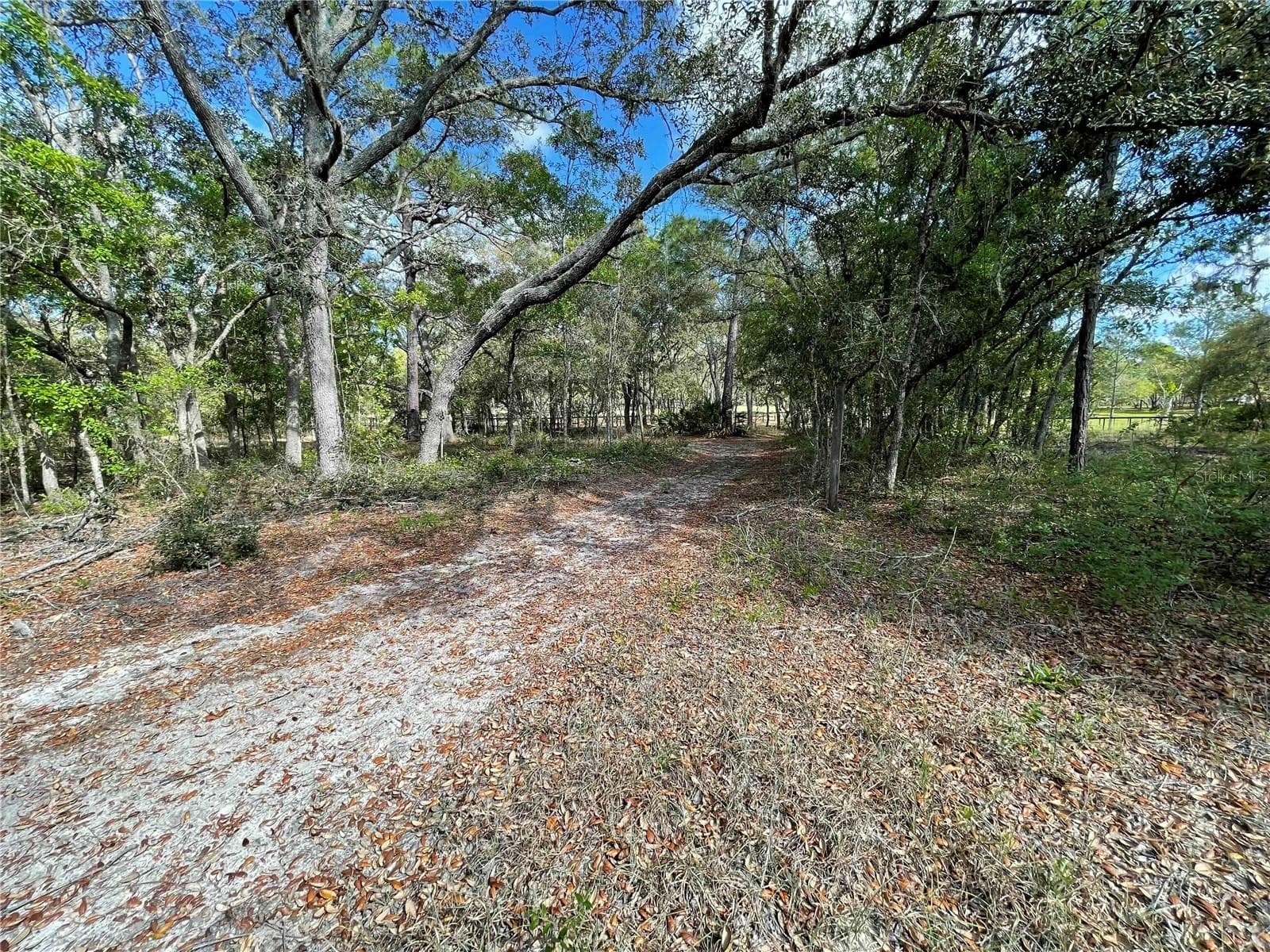 Access to the Goethe Forest on the back of the property - 1550 SE 111TH CT, MORRISTON