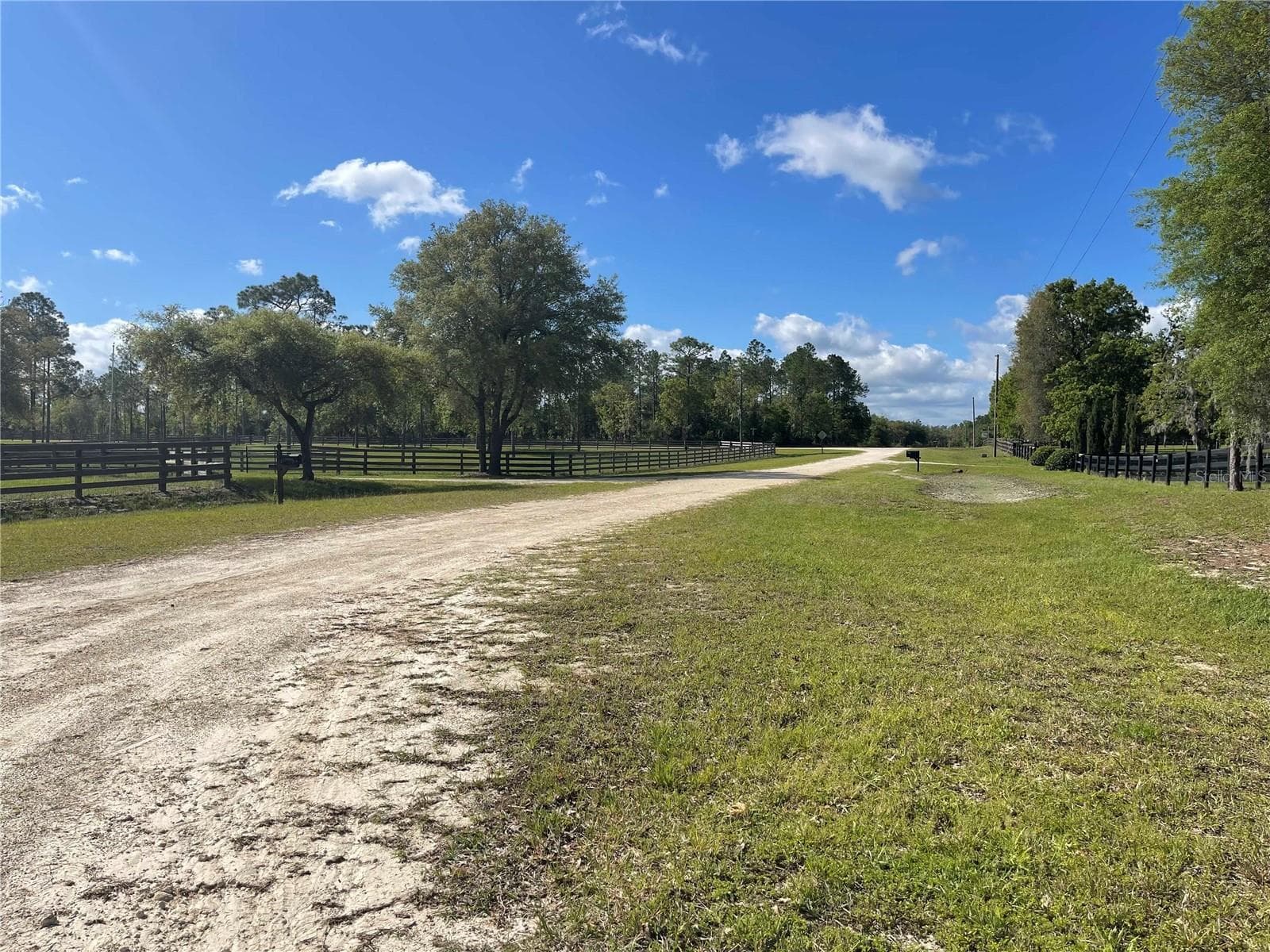 Street in from of the home - 1550 SE 111TH CT, MORRISTON