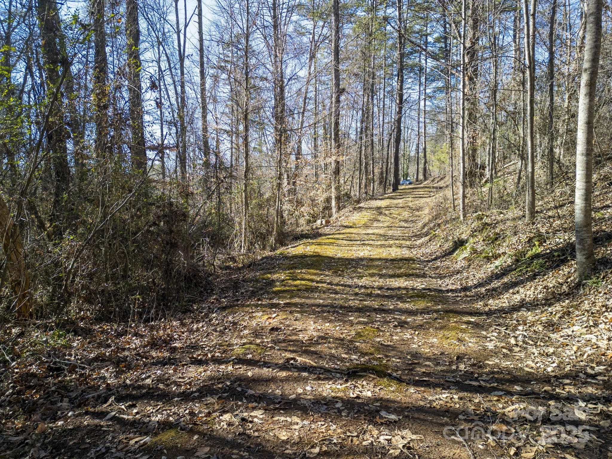 Unimproved Commercial at Weaverville, photo 3 of 21