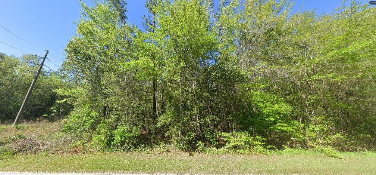 Land at 100 W STATE LINE RD, CENTURY, photo 2 of 6