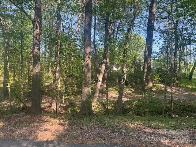 Lot at Statesville, photo 2 of 3