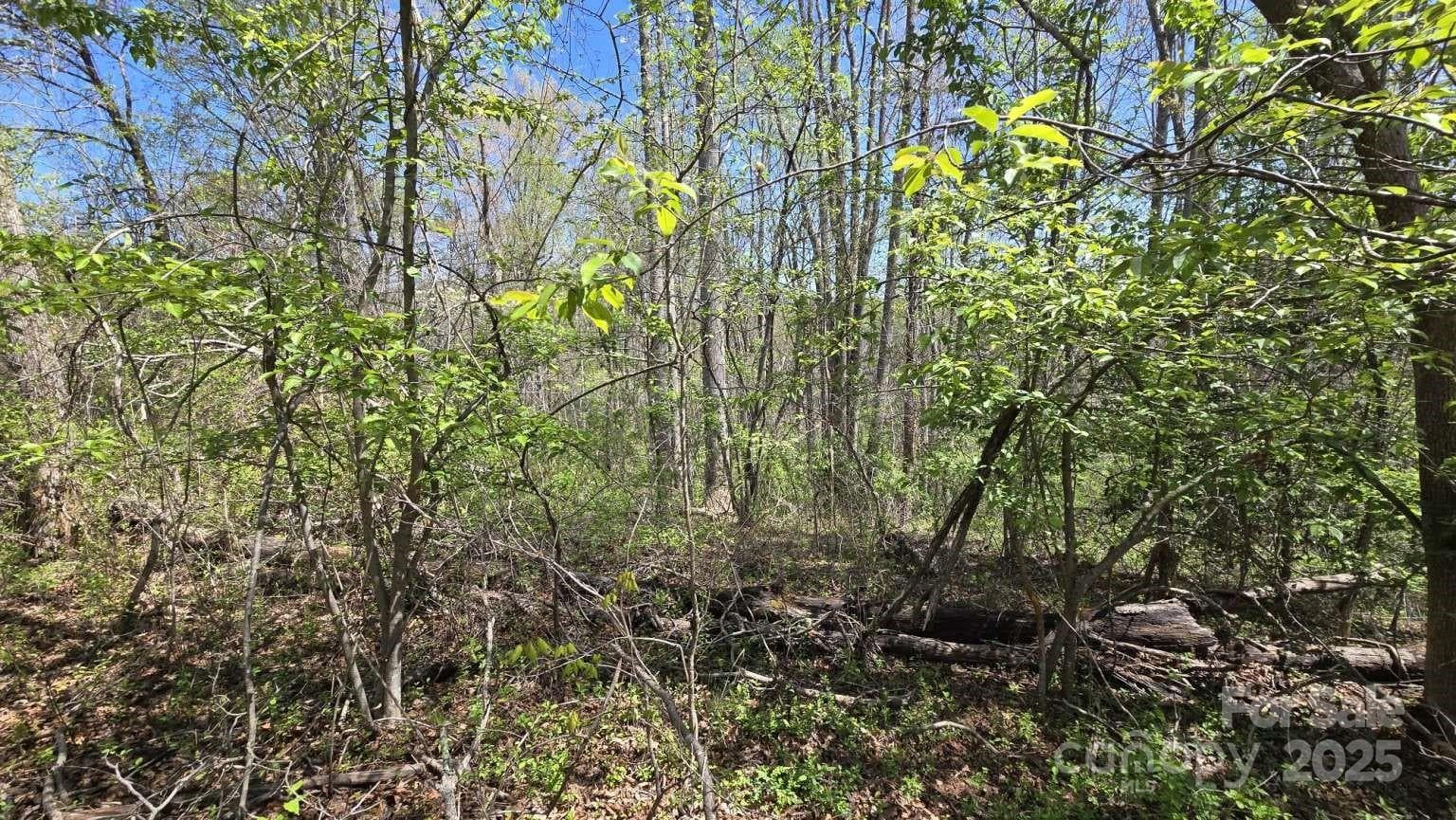 Lot at Asheville, photo 6 of 8
