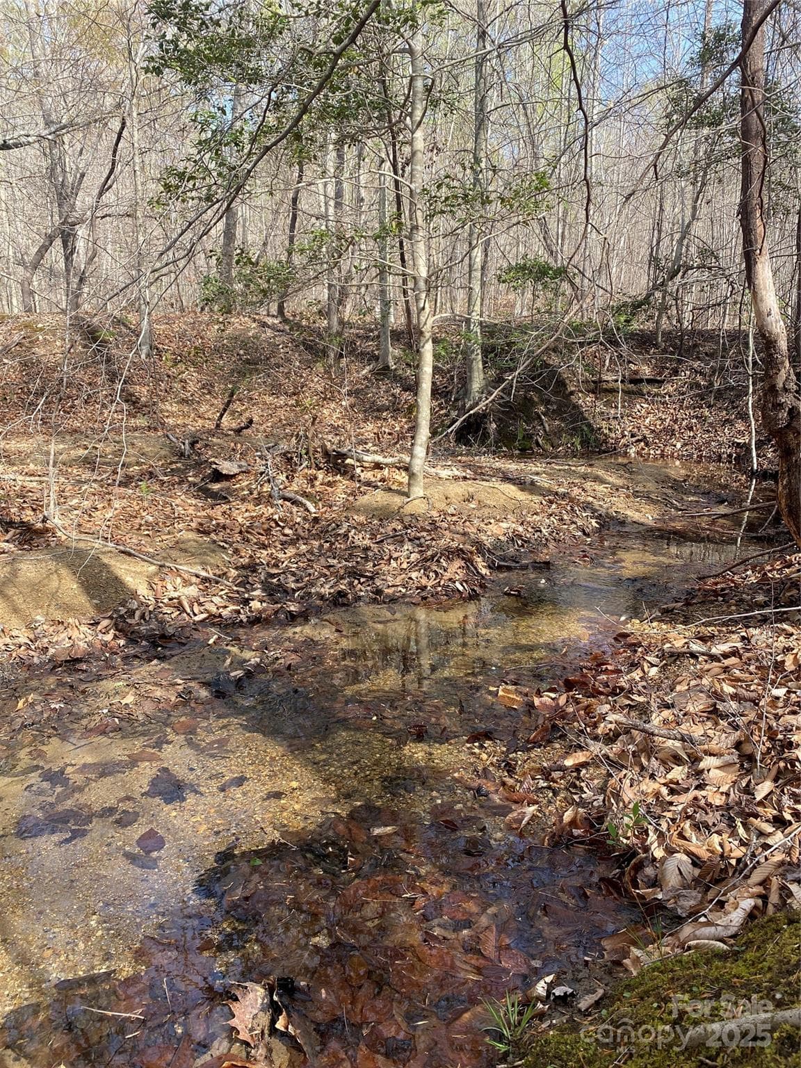 Acreage at 0 Cane Creek Mountain Road, Bostic, photo 8 of 28