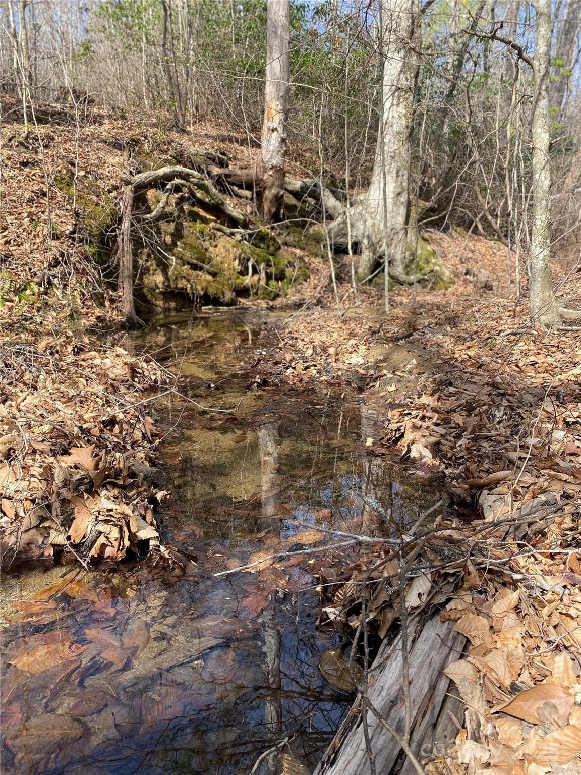 Acreage at 0 Cane Creek Mountain Road, Bostic, photo 10 of 28