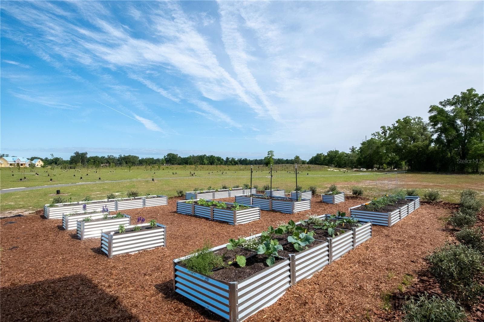 Planted Garden - Lot 46 SW 125TH CIRCLE, ARCHER