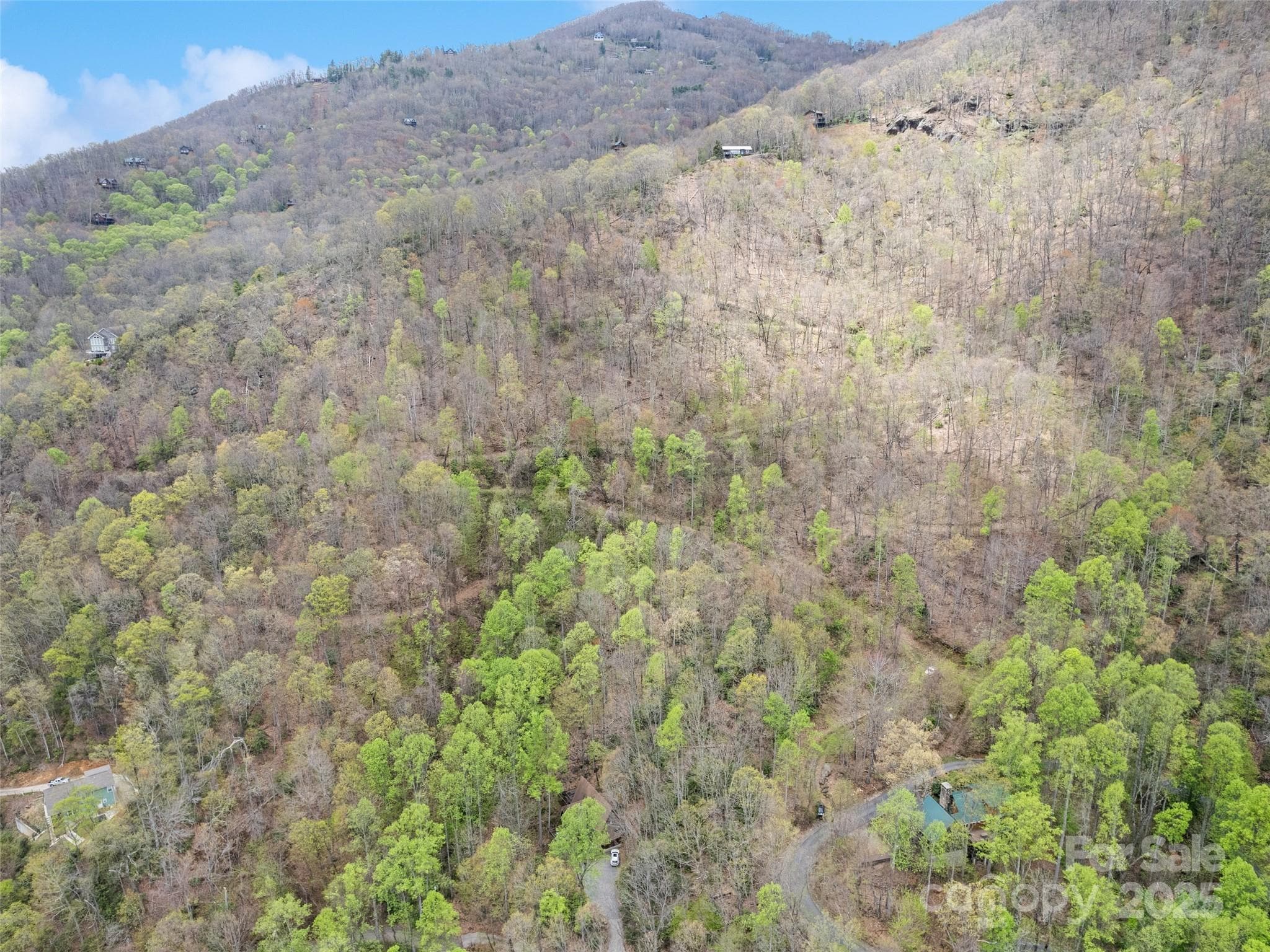 Acreage at Maggie Valley, photo 5 of 24