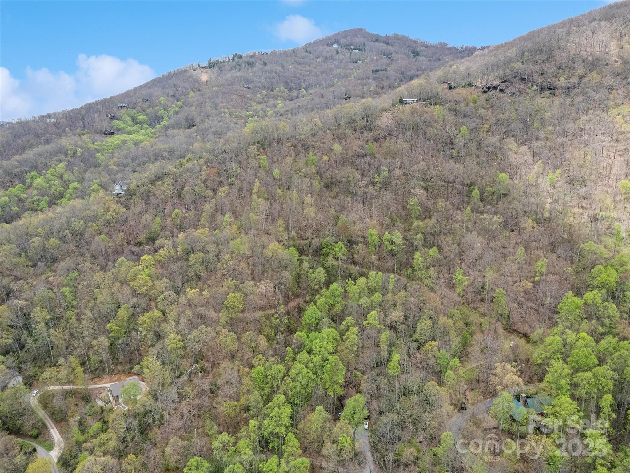 Acreage at Maggie Valley, photo 6 of 24