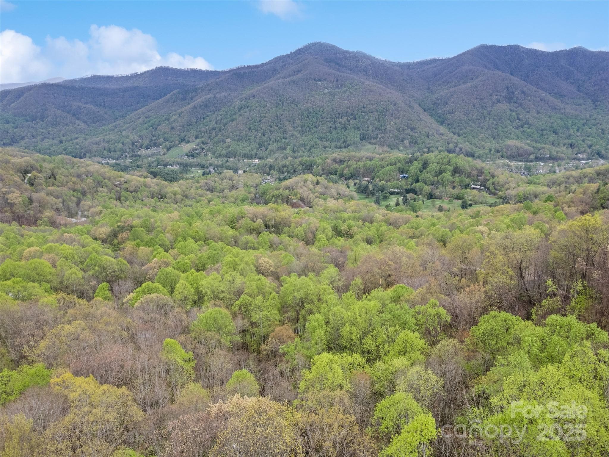 Acreage at Maggie Valley, photo 2 of 24