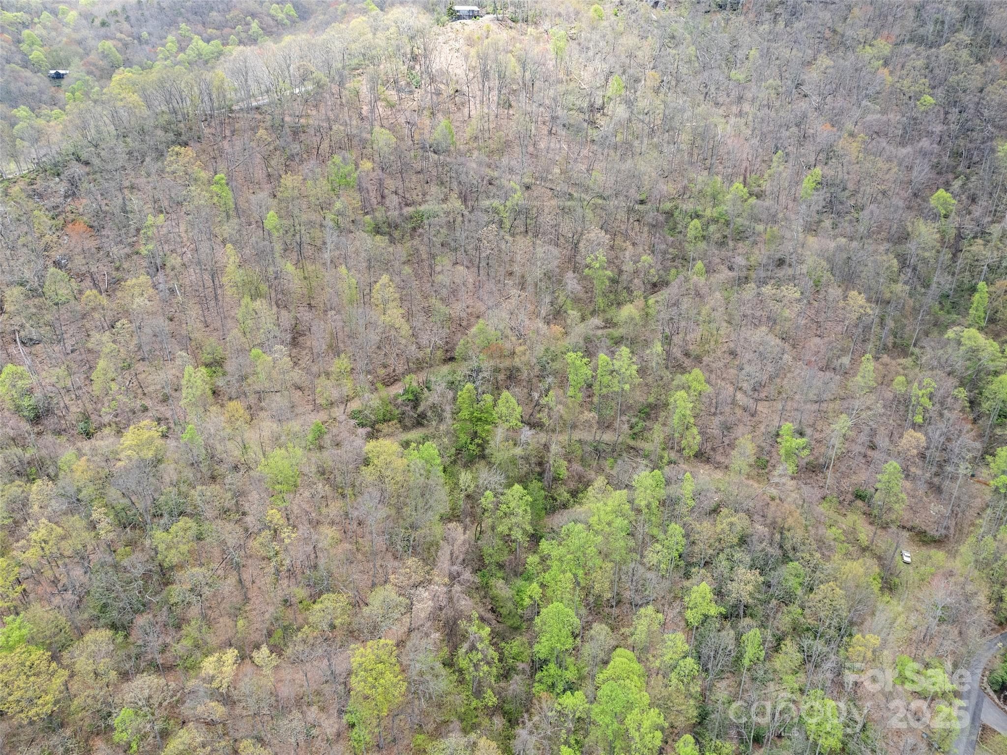 Acreage at Maggie Valley, photo 11 of 24