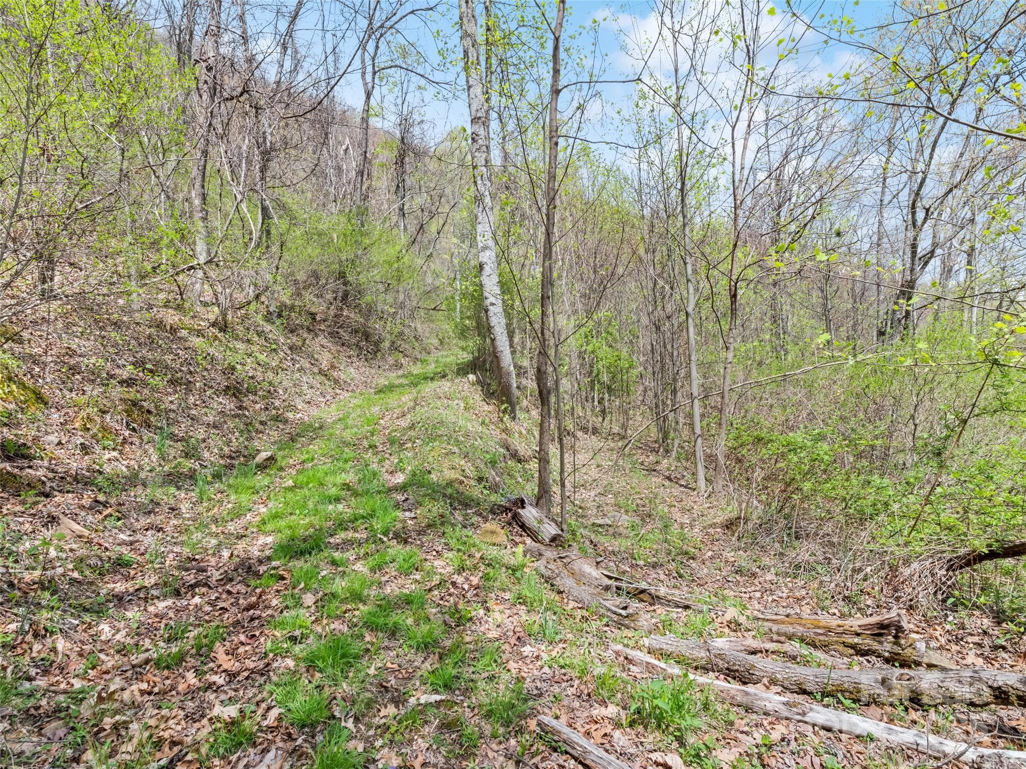 Acreage at Maggie Valley, photo 16 of 24