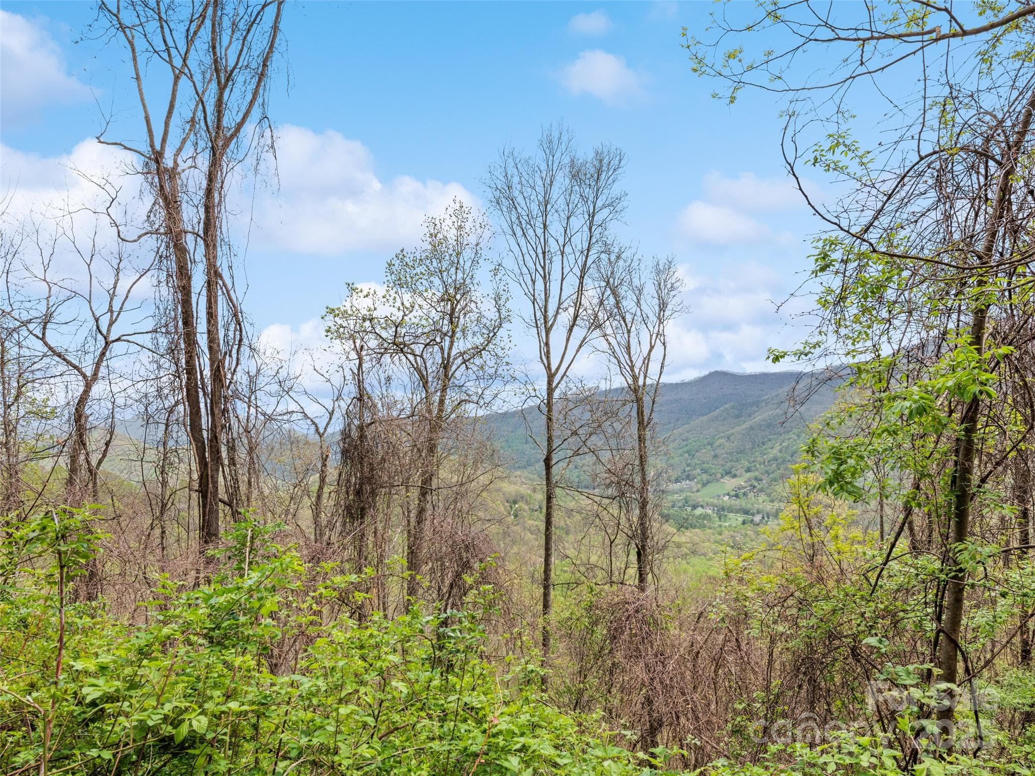 View - Maggie Valley