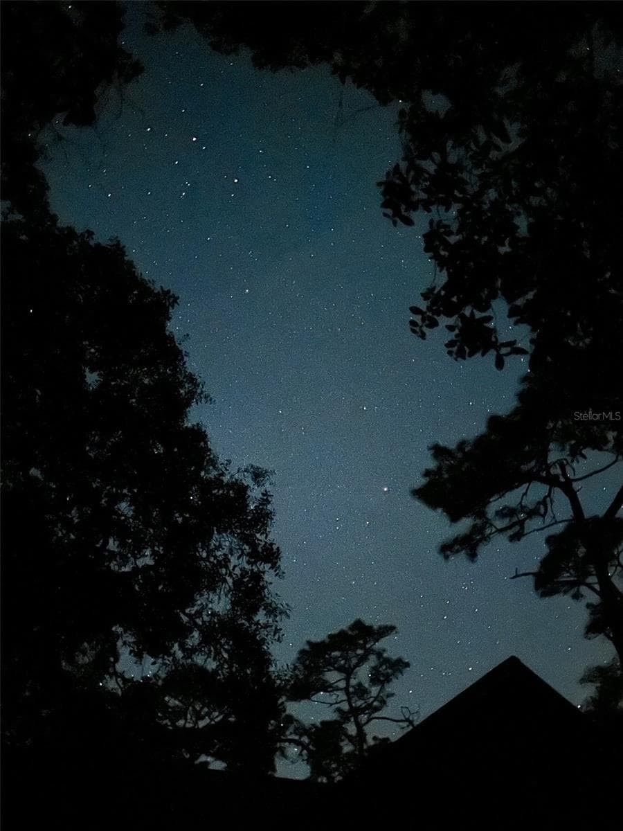 Dark Sky photos of property. Great for stargazing - 3939 LAKE ERIE RD, GROVELAND
