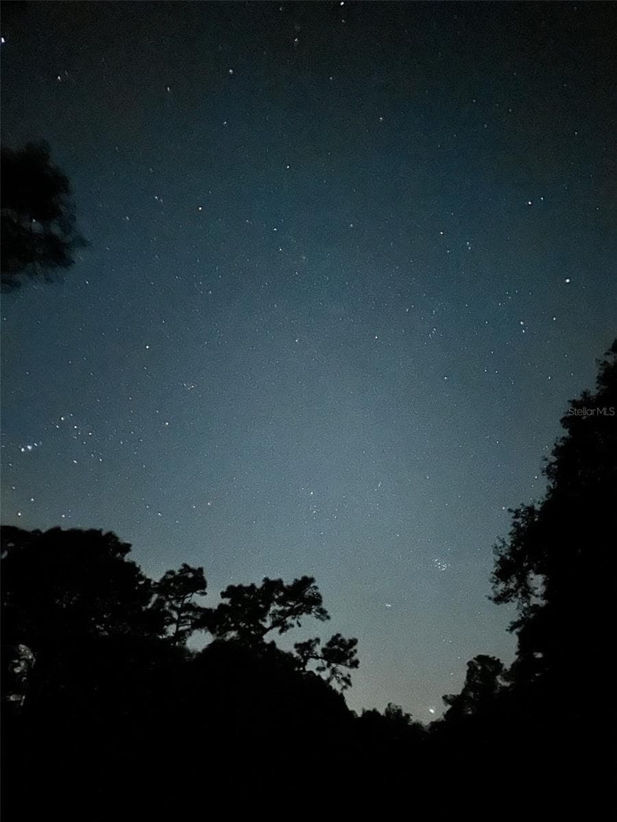Dark Sky Photos of property. Great for stargazing - 3939 LAKE ERIE RD, GROVELAND