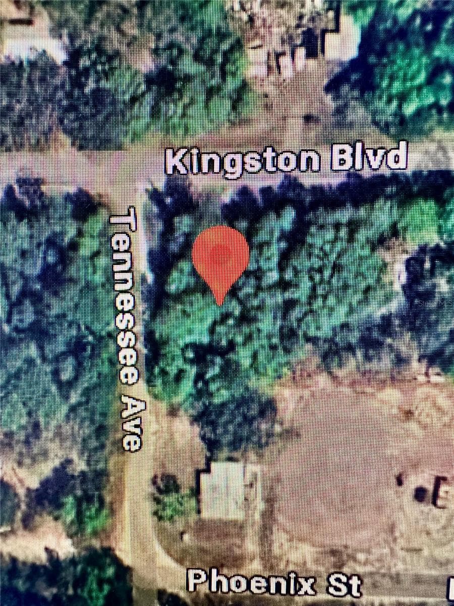 Land at 219 KINGSTON BLVD, SATSUMA, photo 2 of 10