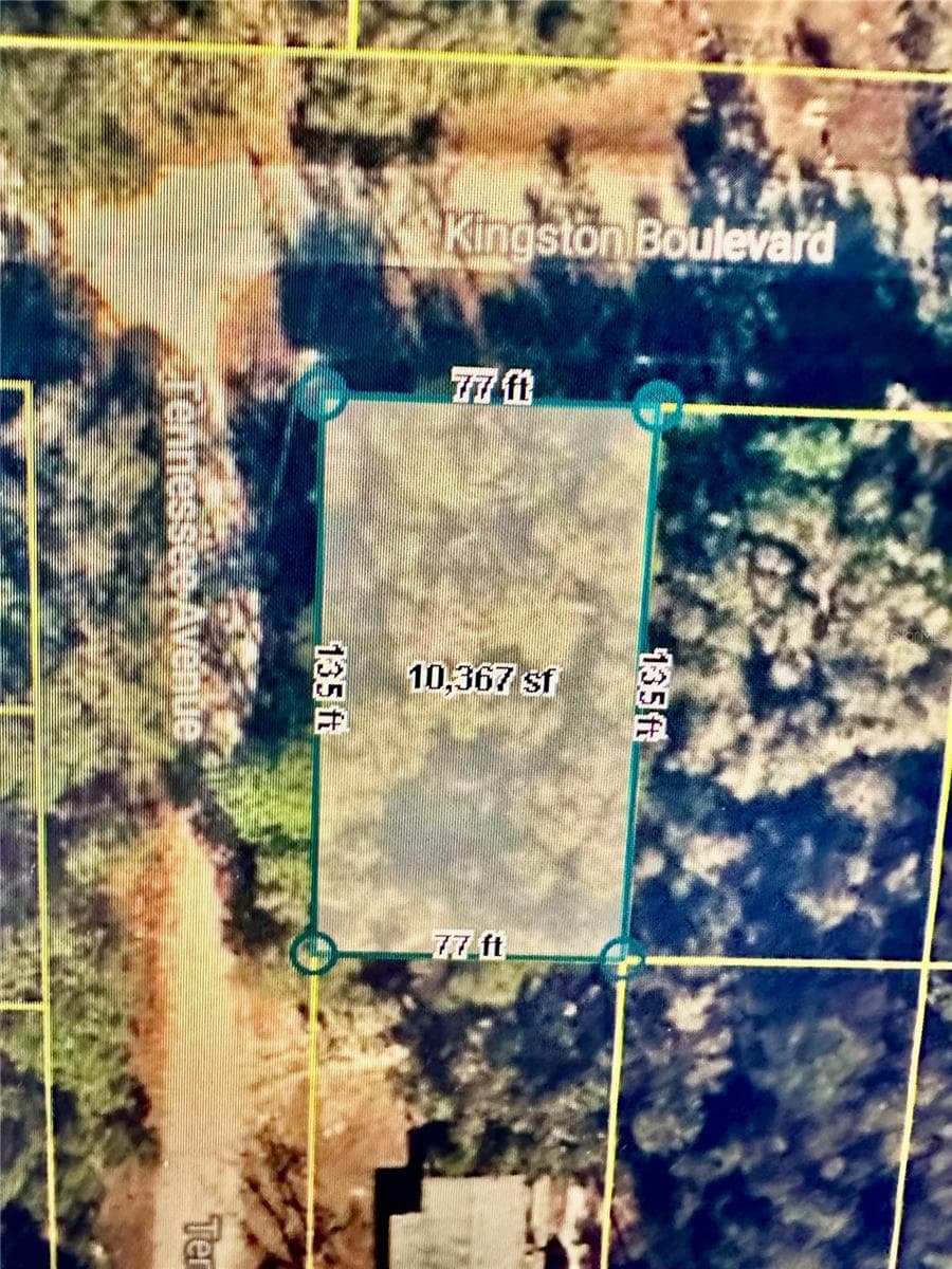 Land at 219 KINGSTON BLVD, SATSUMA, photo 4 of 10