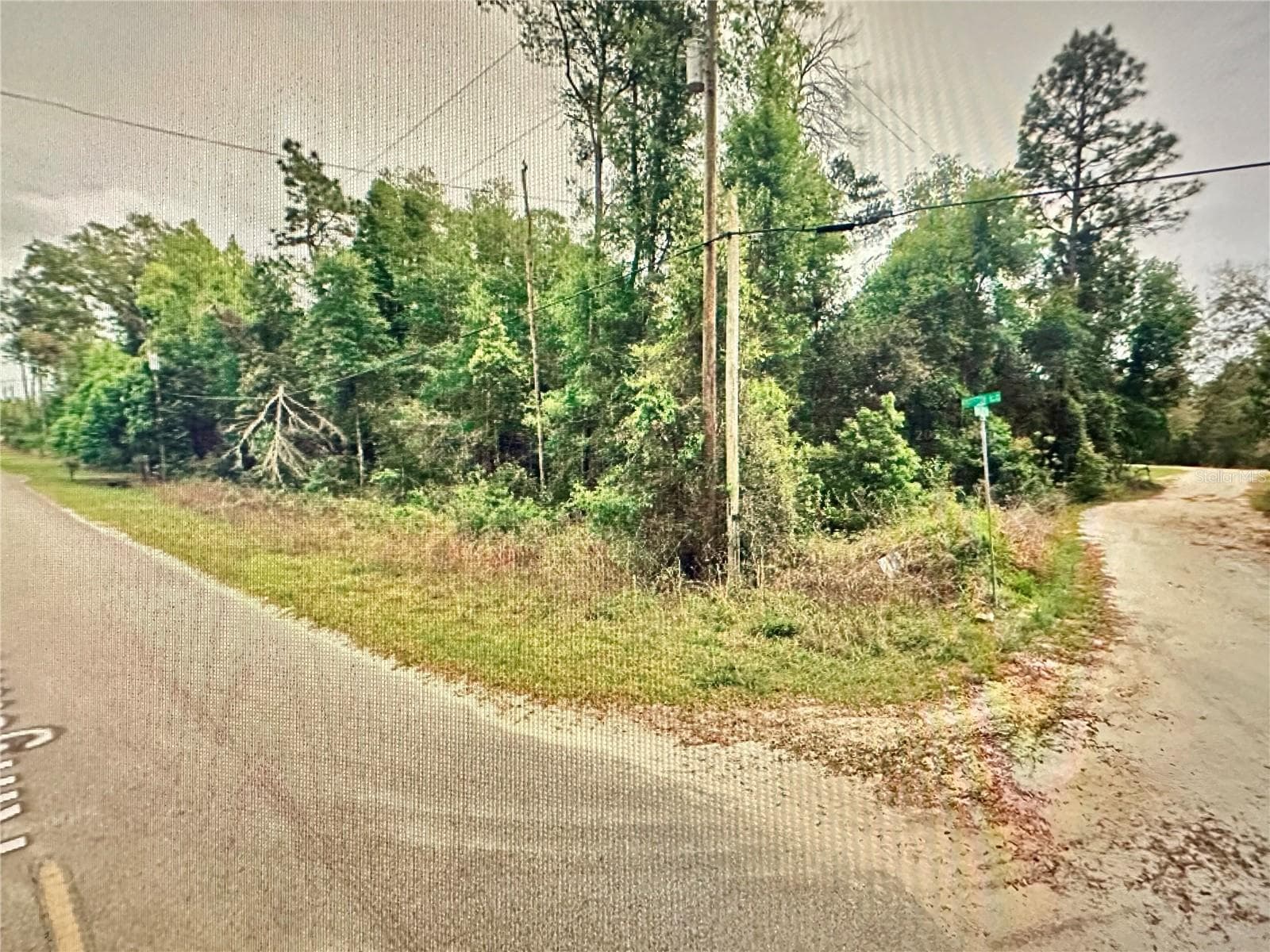 Land at 219 KINGSTON BLVD, SATSUMA, photo 6 of 10