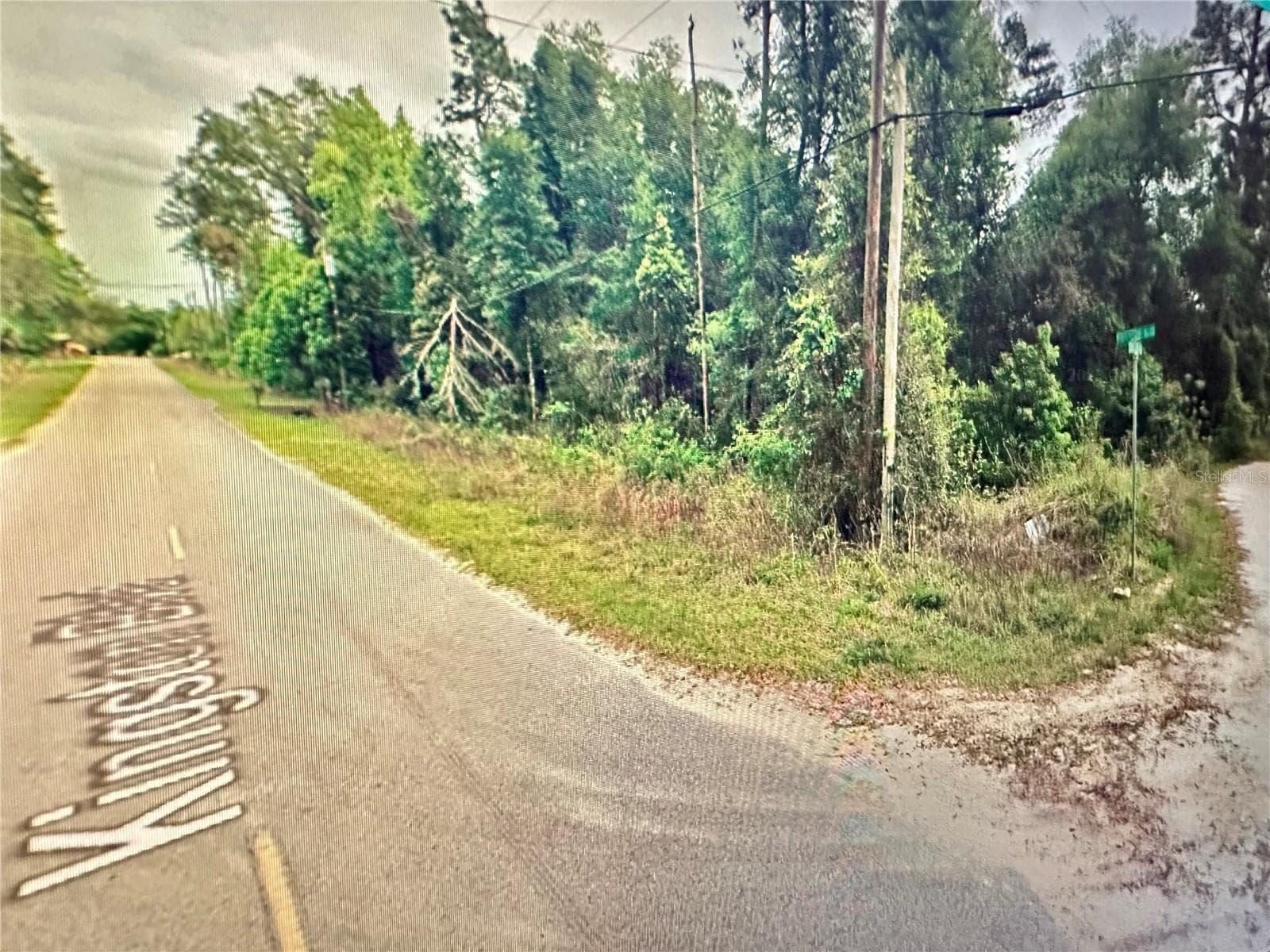 Land at 219 KINGSTON BLVD, SATSUMA, photo 7 of 10