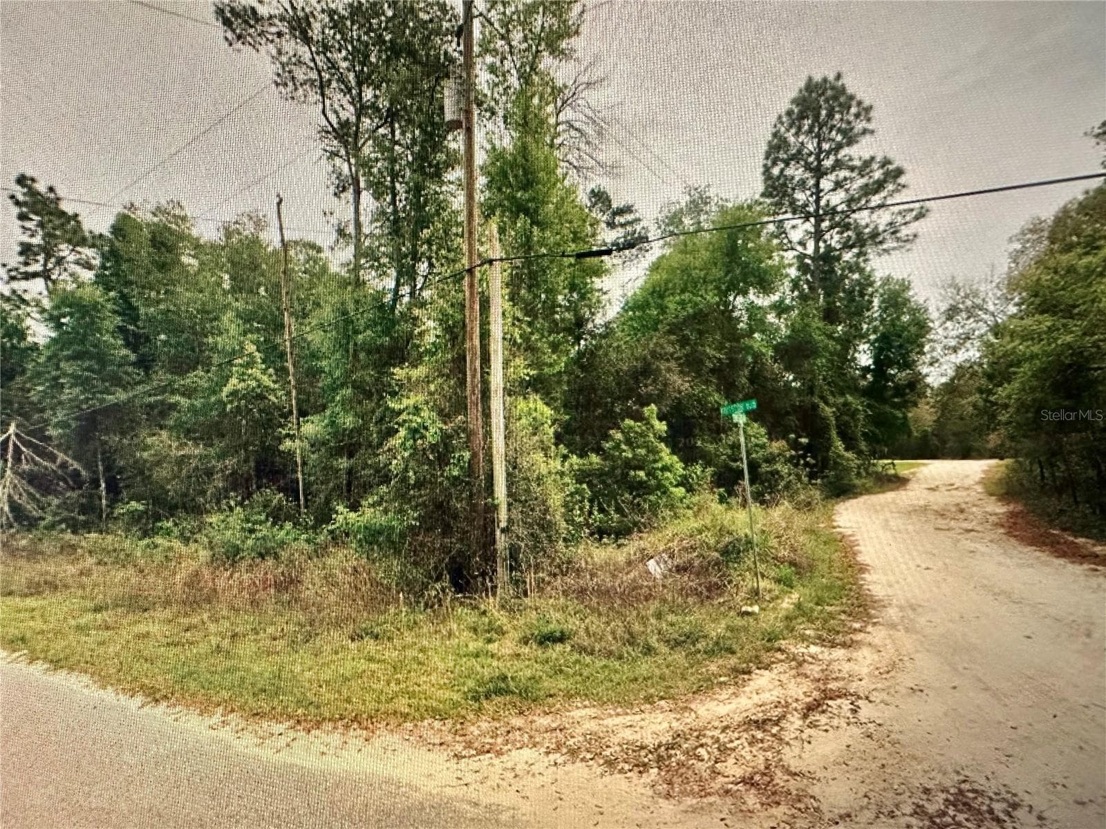 Land at 219 KINGSTON BLVD, SATSUMA, photo 8 of 10