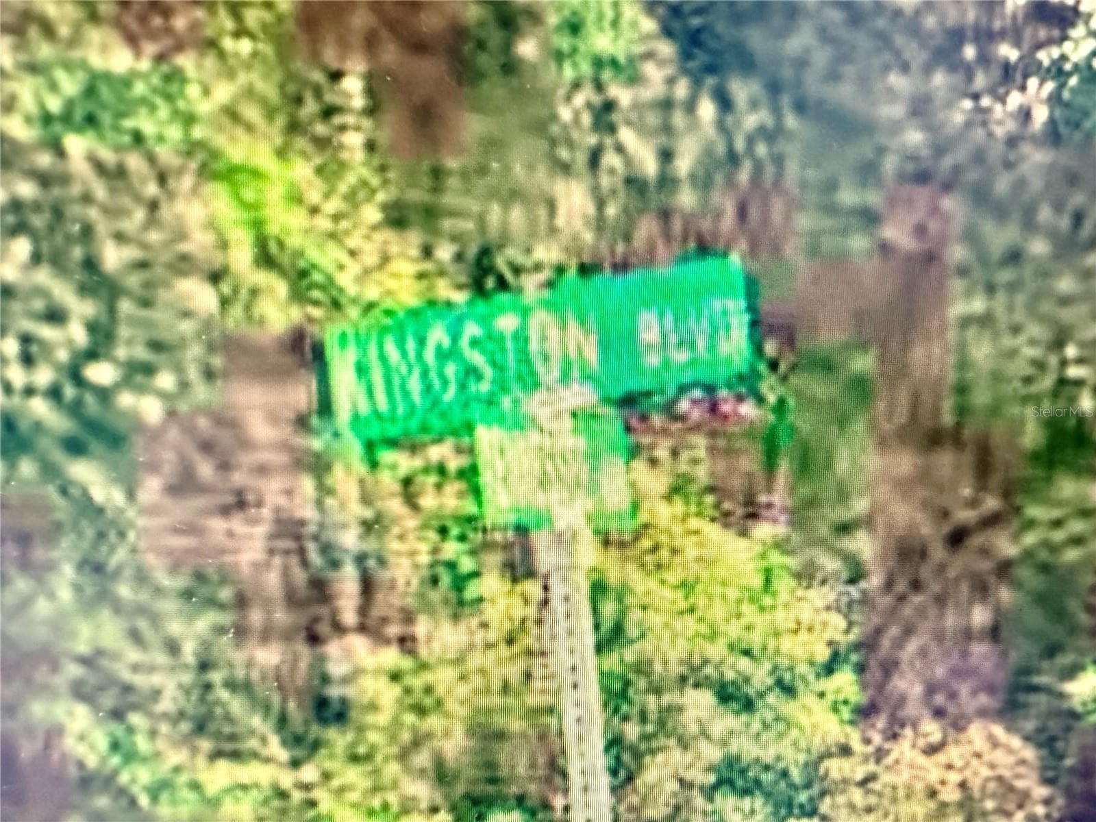 Land at 219 KINGSTON BLVD, SATSUMA, photo 10 of 10