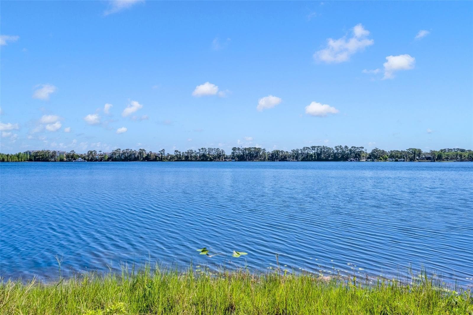 Single Family Residence at 7420 LAKE WILLIS DR, ORLANDO, photo 31 of 41
