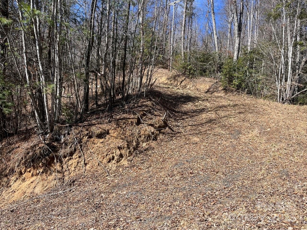 Acreage at Burnsville, photo 2 of 4
