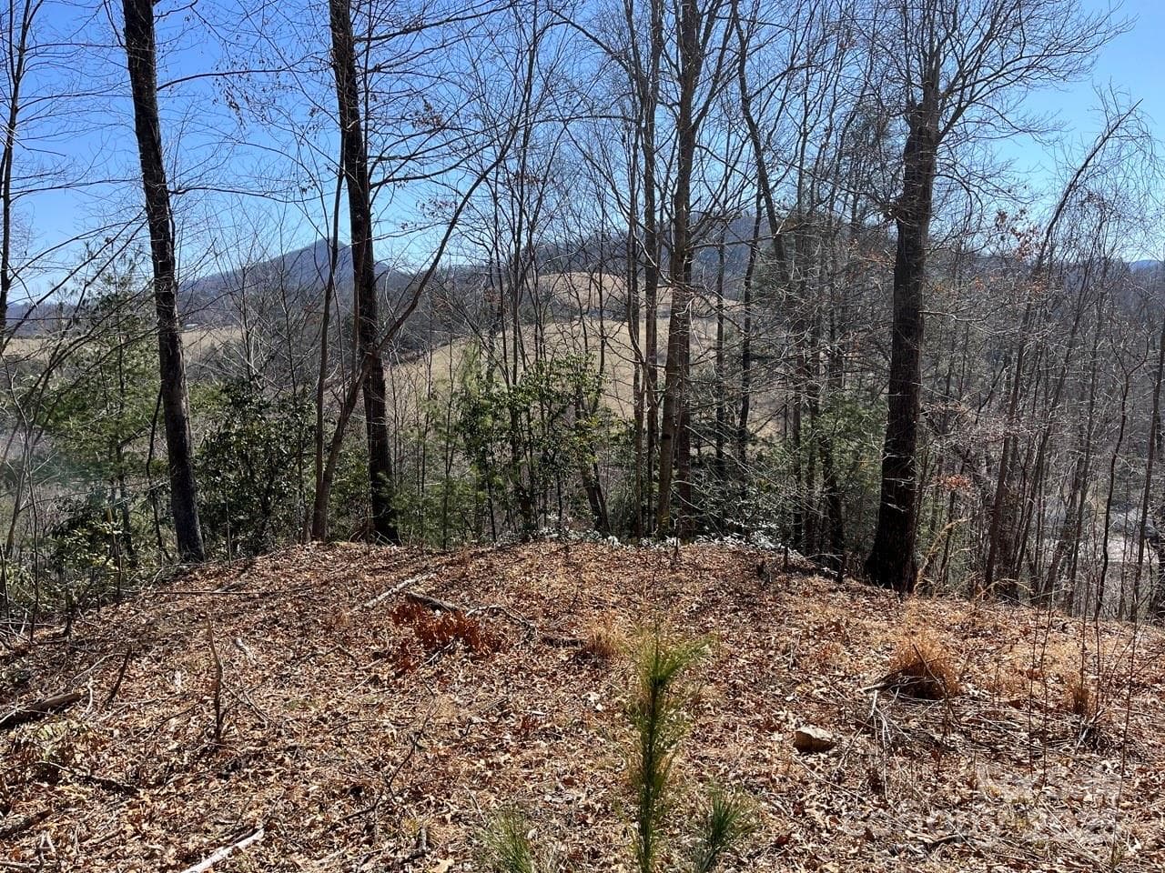 Acreage at Burnsville, photo 3 of 4