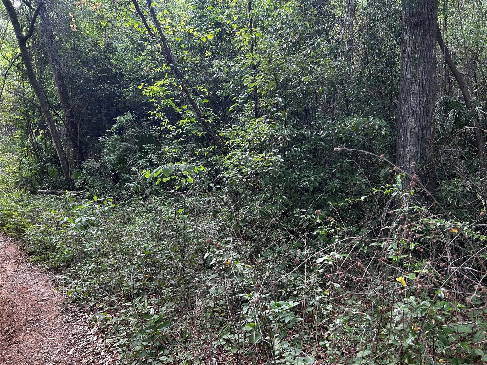 Property - TBD NW 123RD PL, CITRA