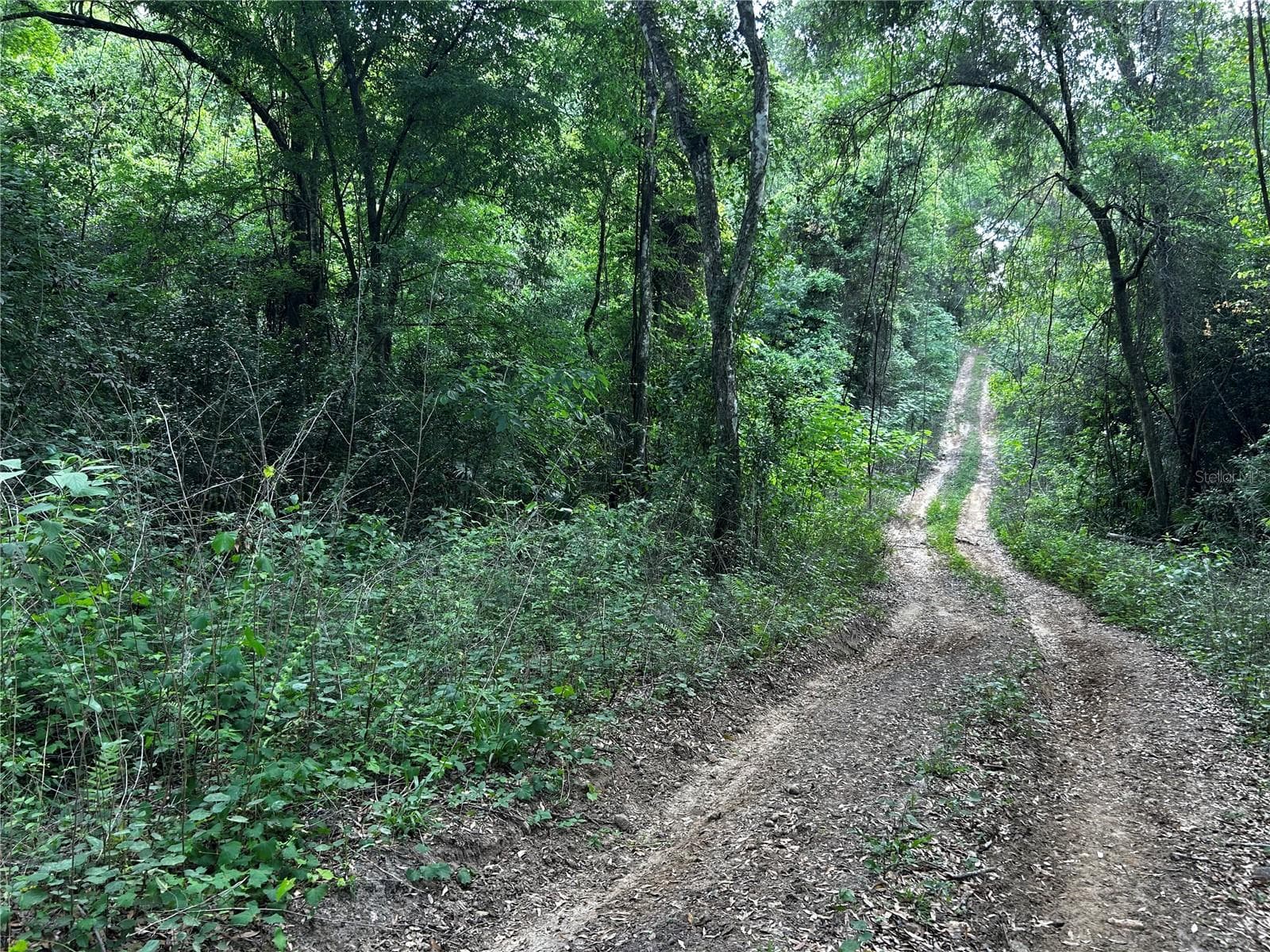 Road down the hill - TBD NW 123RD PL, CITRA
