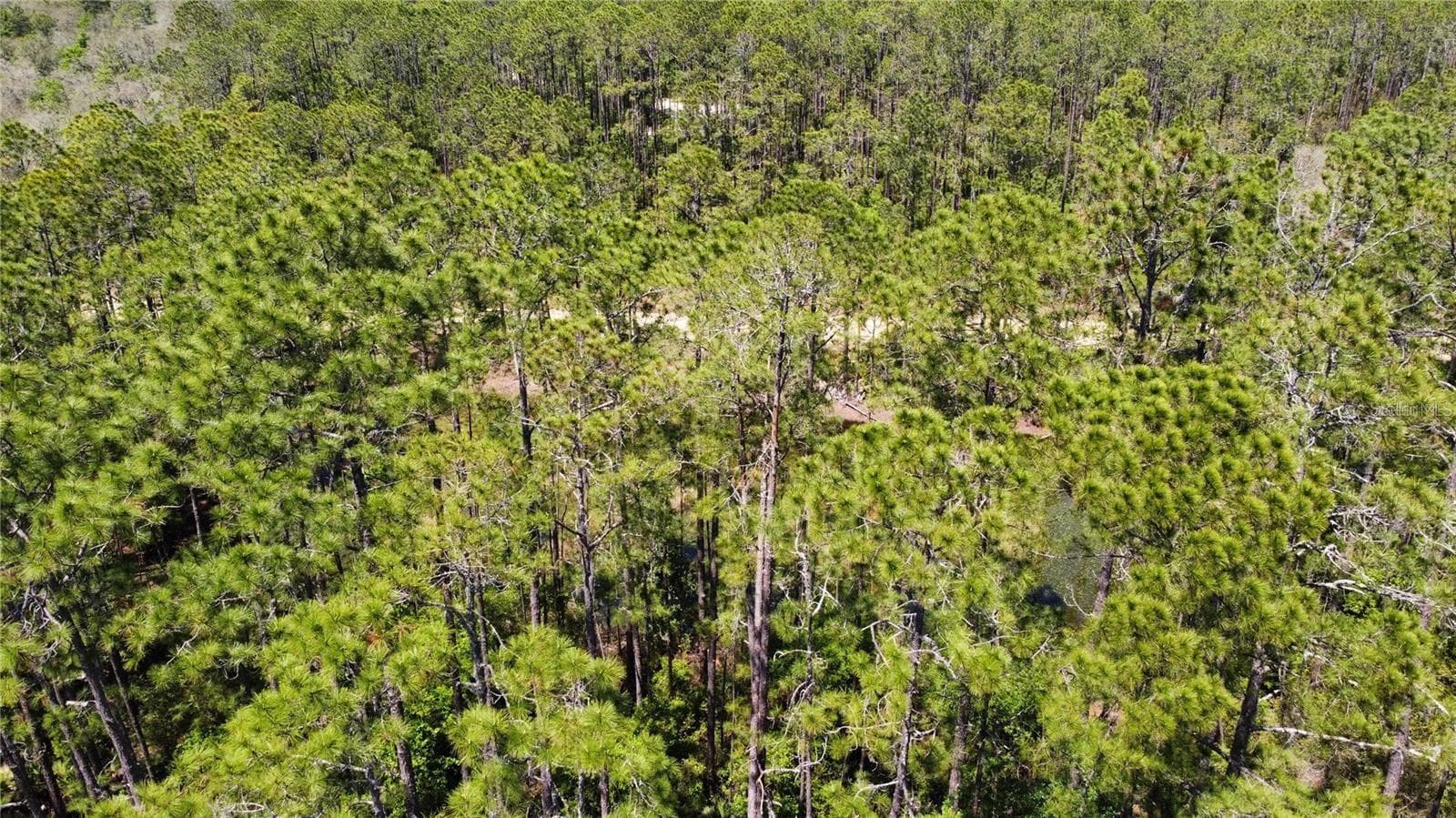 Land at 206 HUDSON ST, INTERLACHEN, photo 5 of 7