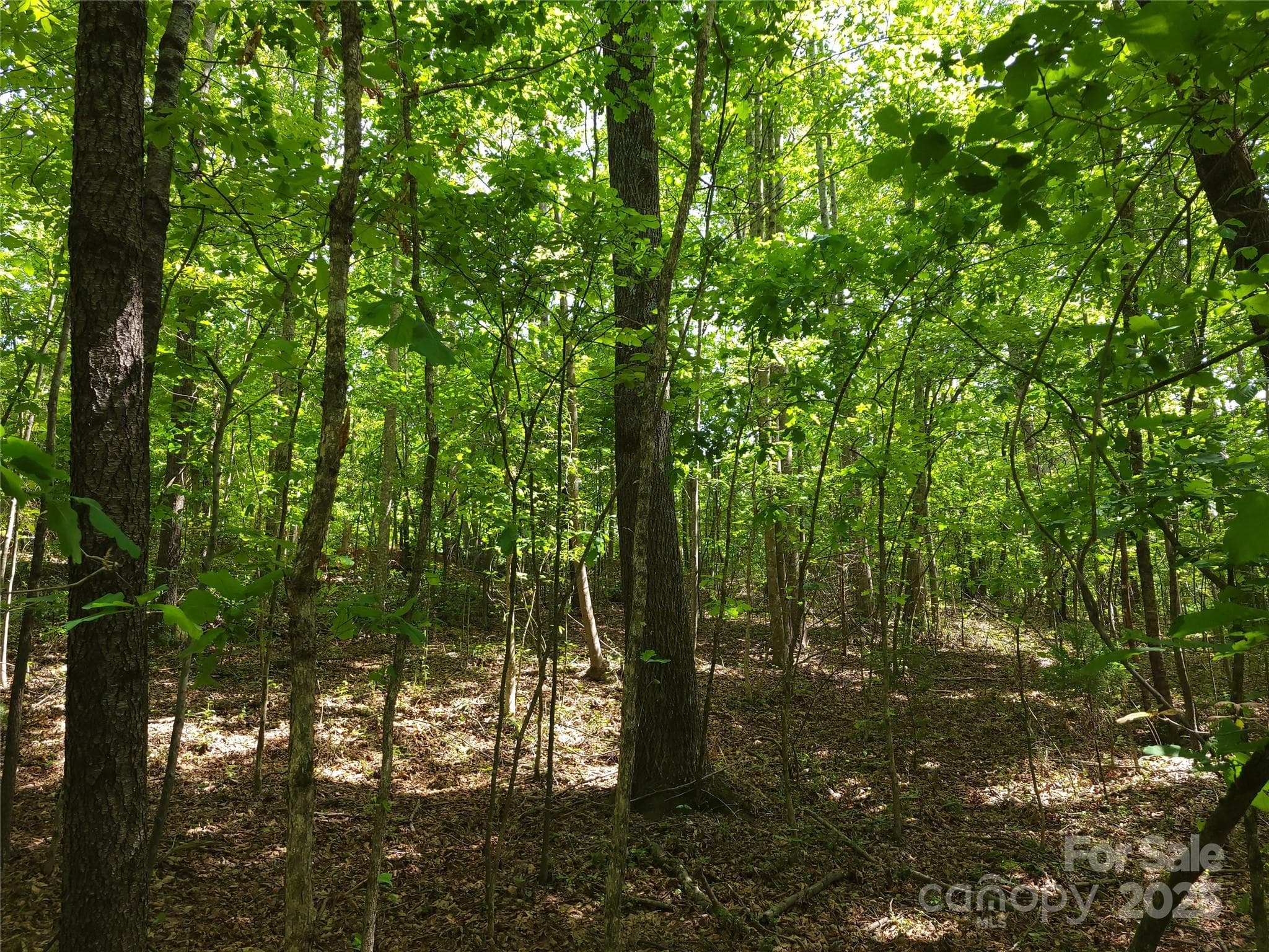Lot at 000 Skylark Lane, Tryon, photo 4 of 16