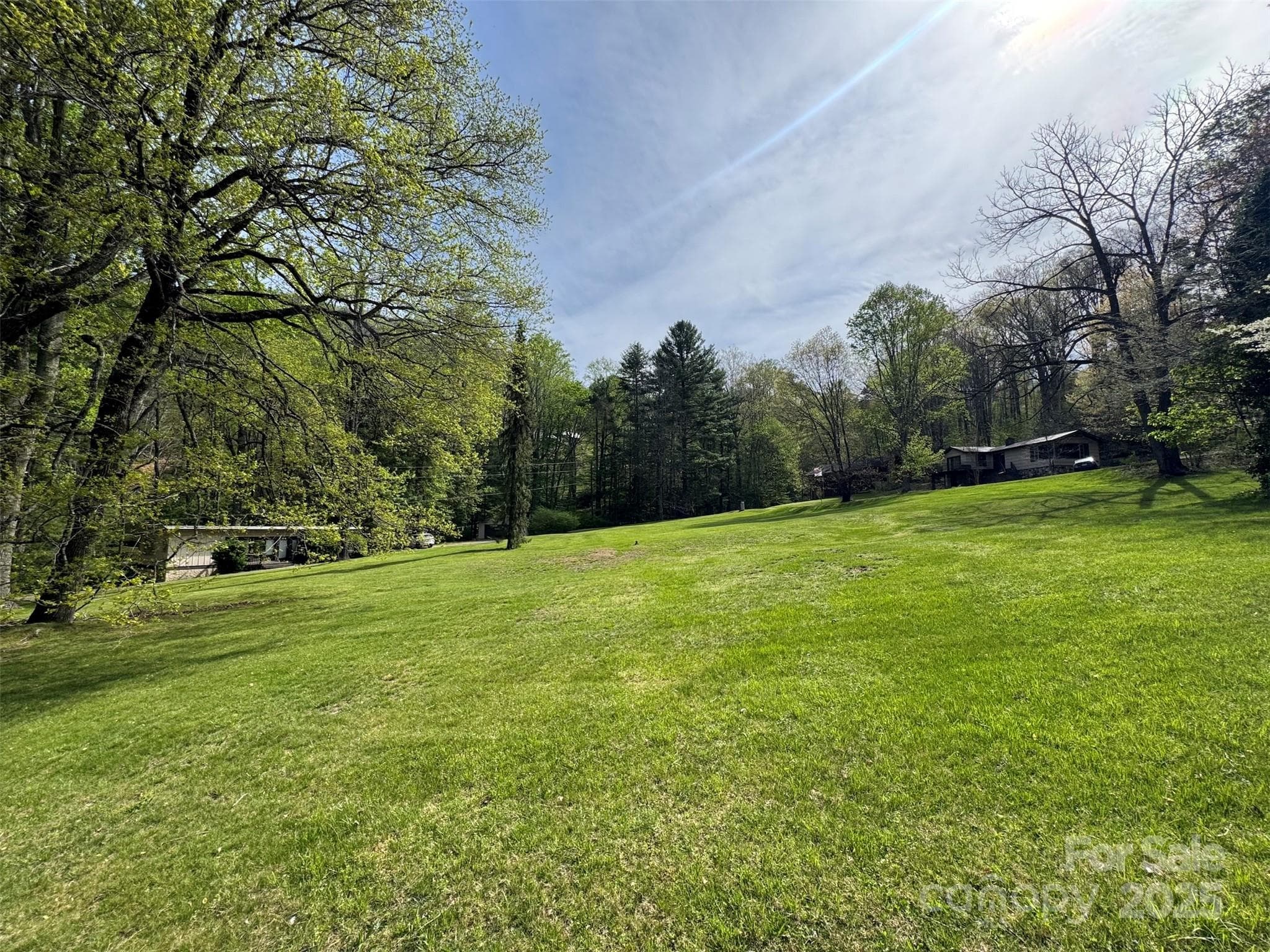 Large open area with several lots - Waynesville
