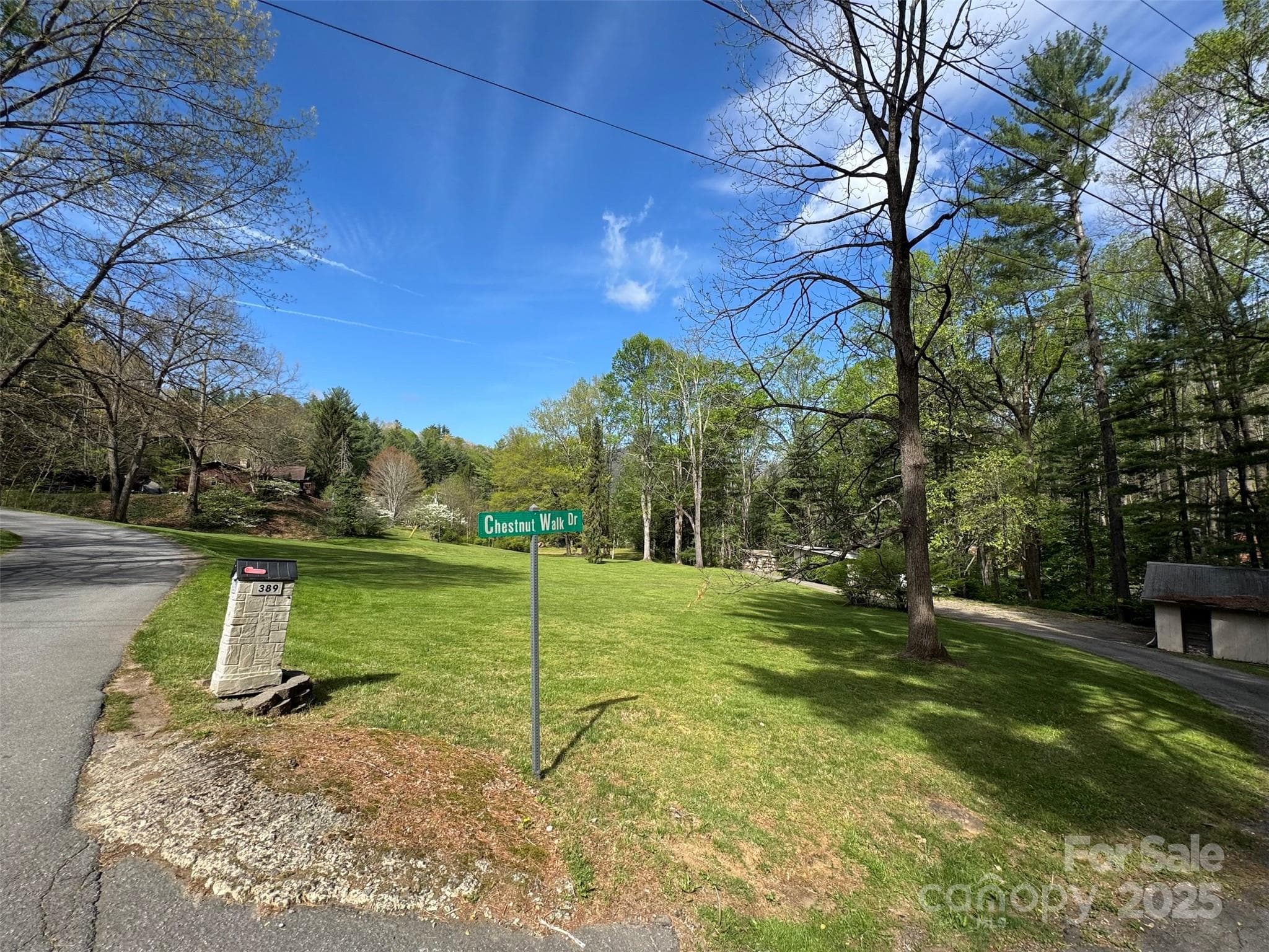Lot at Waynesville, photo 15 of 28