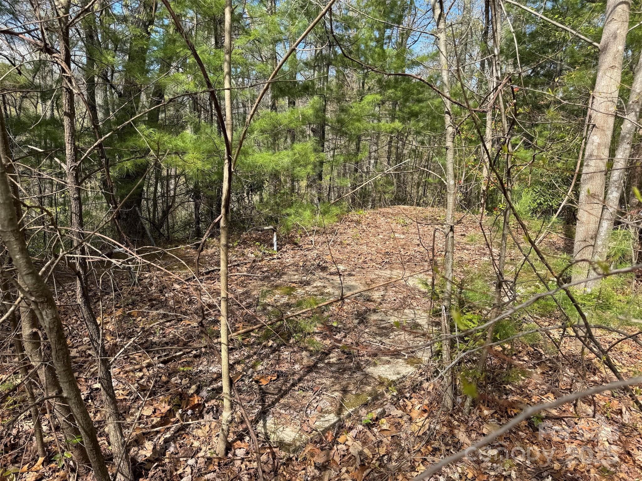 Gentle Ridge top Lots 33/34 - Waynesville